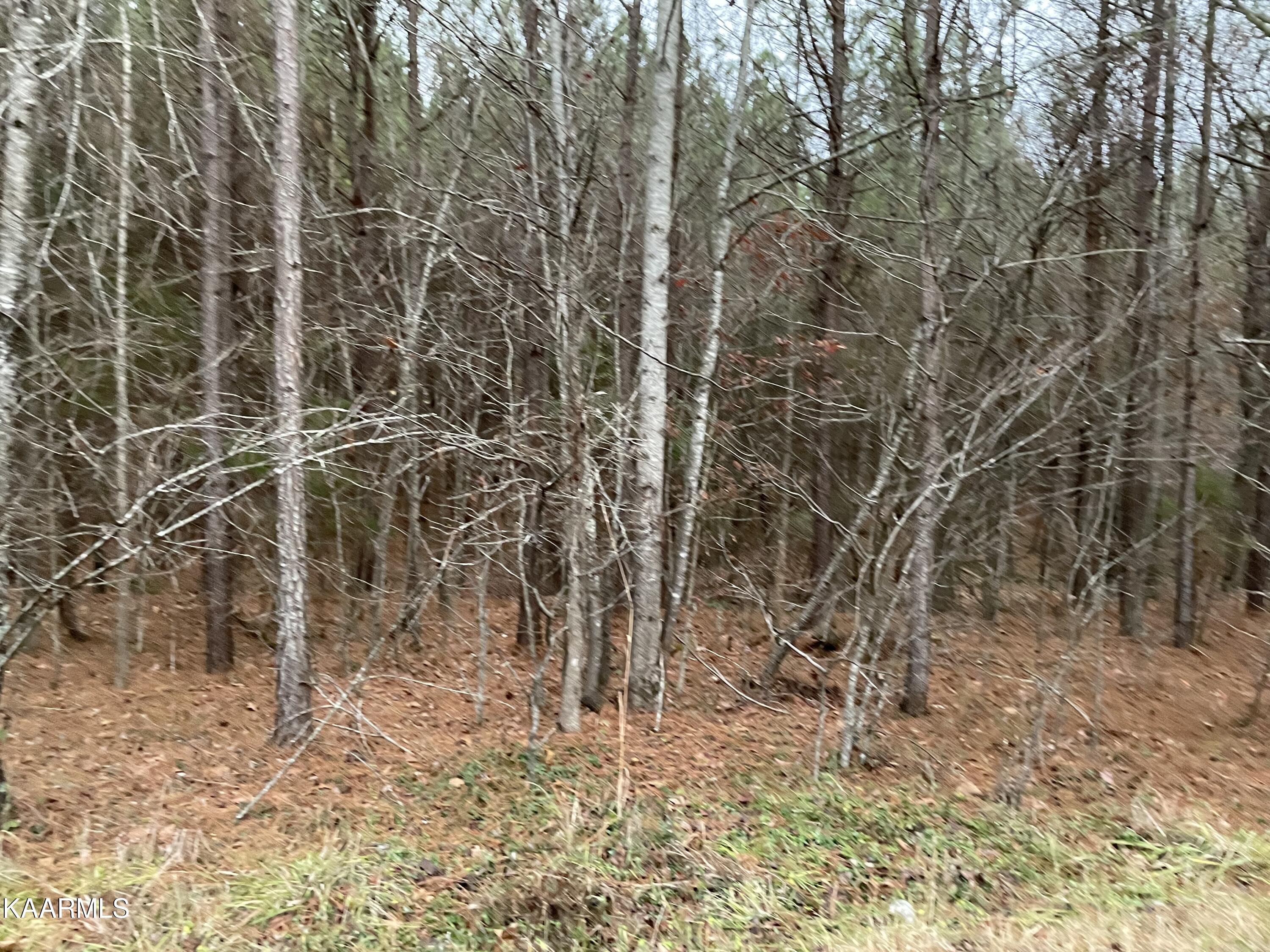 947 Rayl Hollow Road Decatur, TN 37322 - Photo 20 of 55 4E5A56CD-71F6-49B1-8102-52F6AE3F4F7D