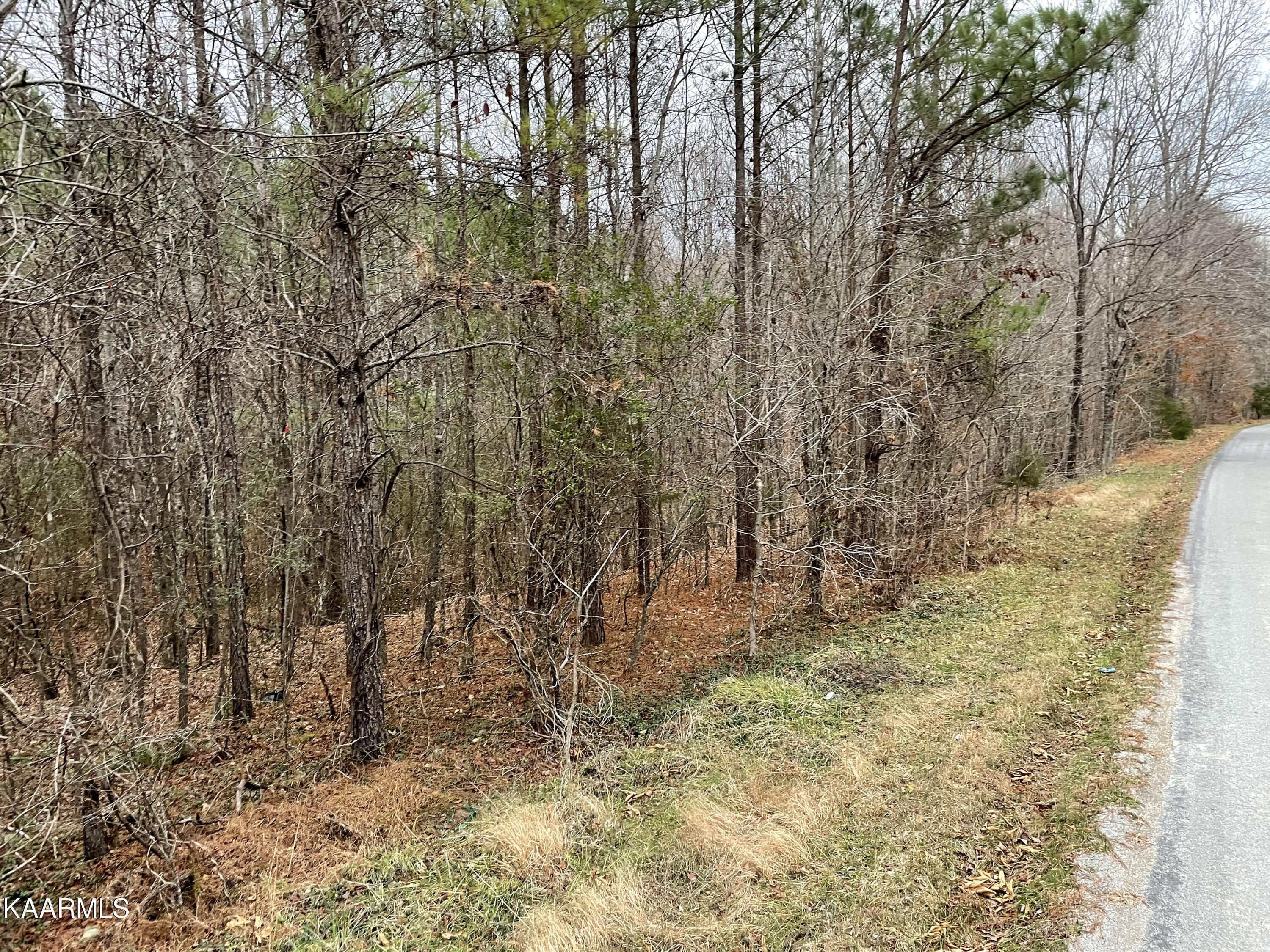 947 Rayl Hollow Road Decatur, TN 37322 - Photo 2 of 55 14BD66EA-8F1F-425E-992B-C2266C38690B