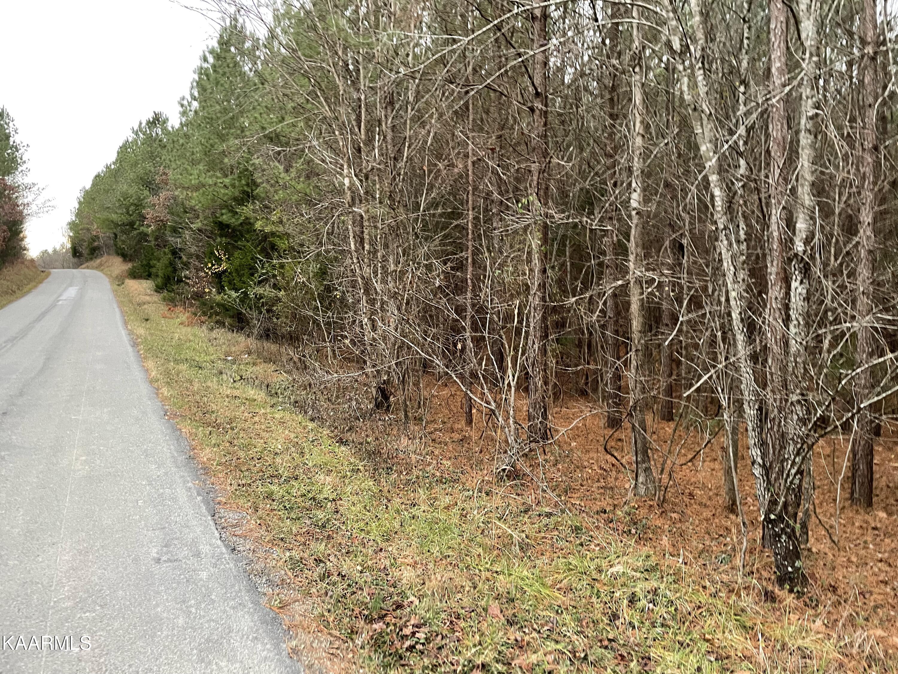 947 Rayl Hollow Road Decatur, TN 37322 - Photo 21 of 55 C39D8980-6EDF-4045-9802-6C475886B862