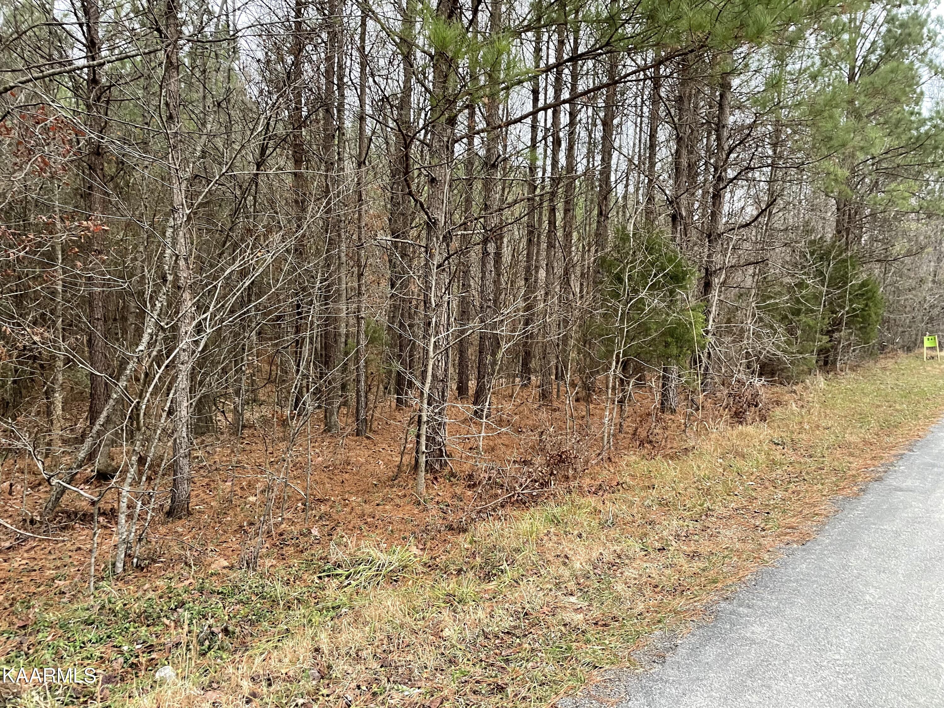 947 Rayl Hollow Road Decatur, TN 37322 - Photo 22 of 55 2289628E-47A0-4BB7-A58A-2FEE791C127C