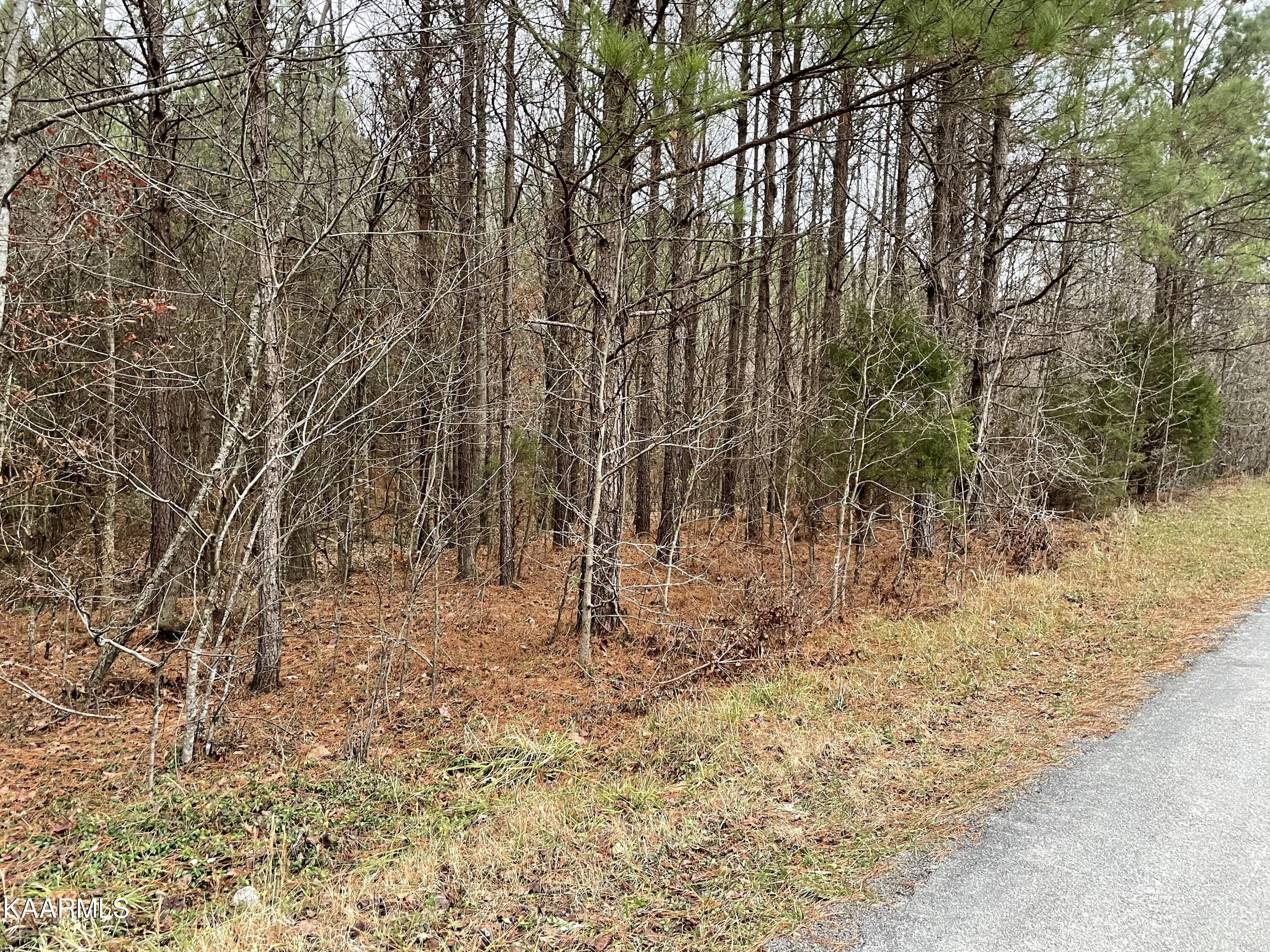 947 Rayl Hollow Road Decatur, TN 37322 - Photo 23 of 55 ECC5B4F1-0C56-4BA7-A809-B0E55C58E72D