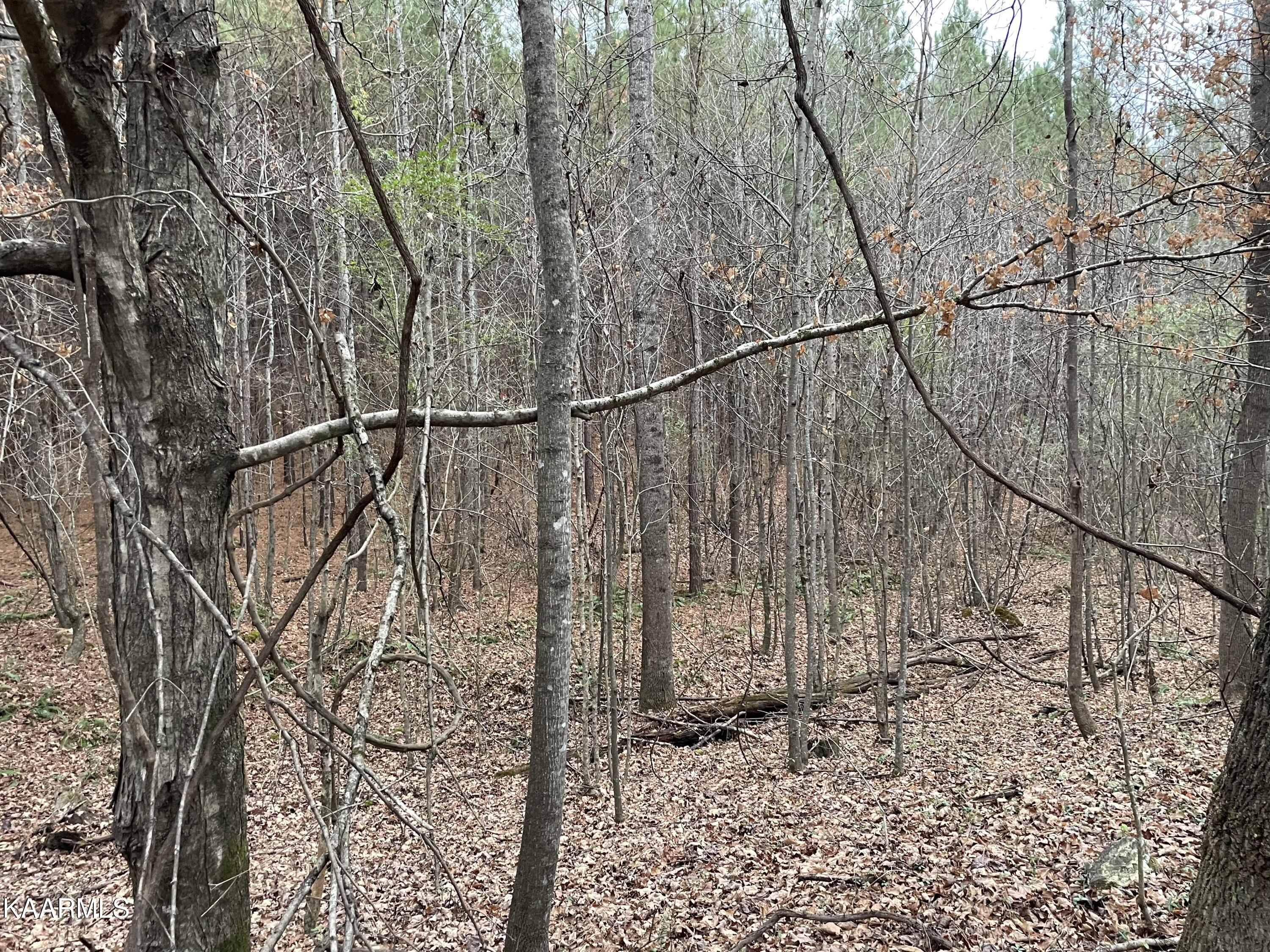 947 Rayl Hollow Road Decatur, TN 37322 - Photo 24 of 55 12664C00-0743-4D69-BC28-5DA24D6FB5C4