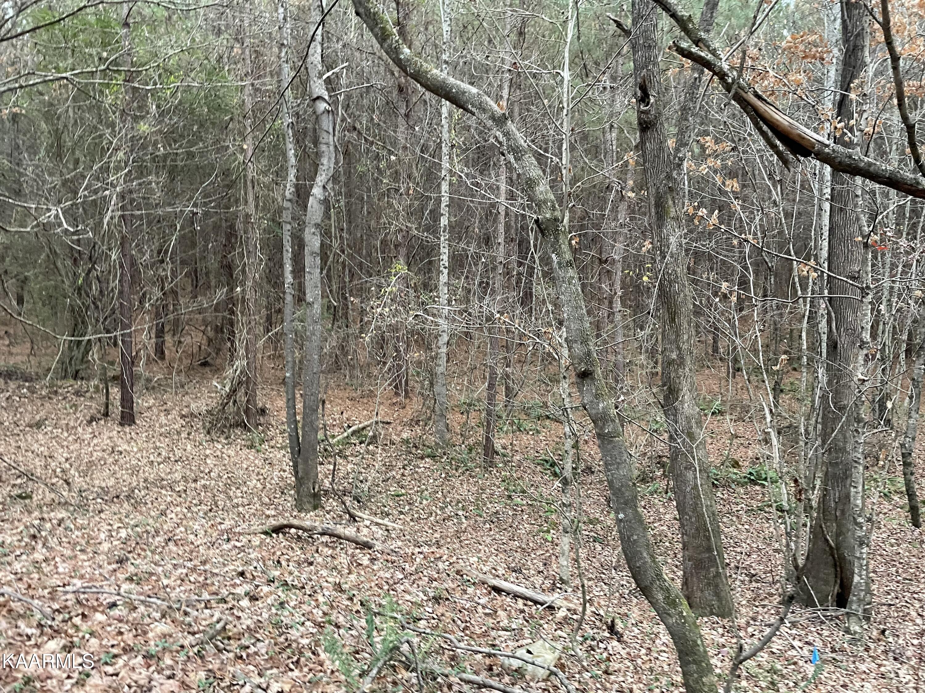 947 Rayl Hollow Road Decatur, TN 37322 - Photo 25 of 55 886E888C-3AFB-4499-BD95-773BE7BEB619