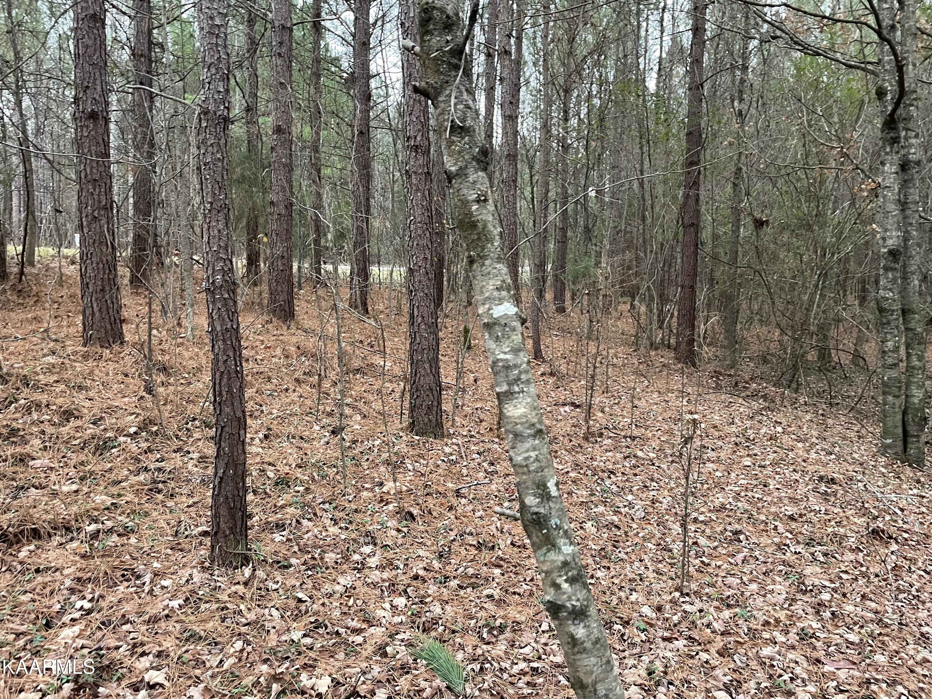 947 Rayl Hollow Road Decatur, TN 37322 - Photo 26 of 55 C5138685-F78A-4396-8608-4EA89EA4D135