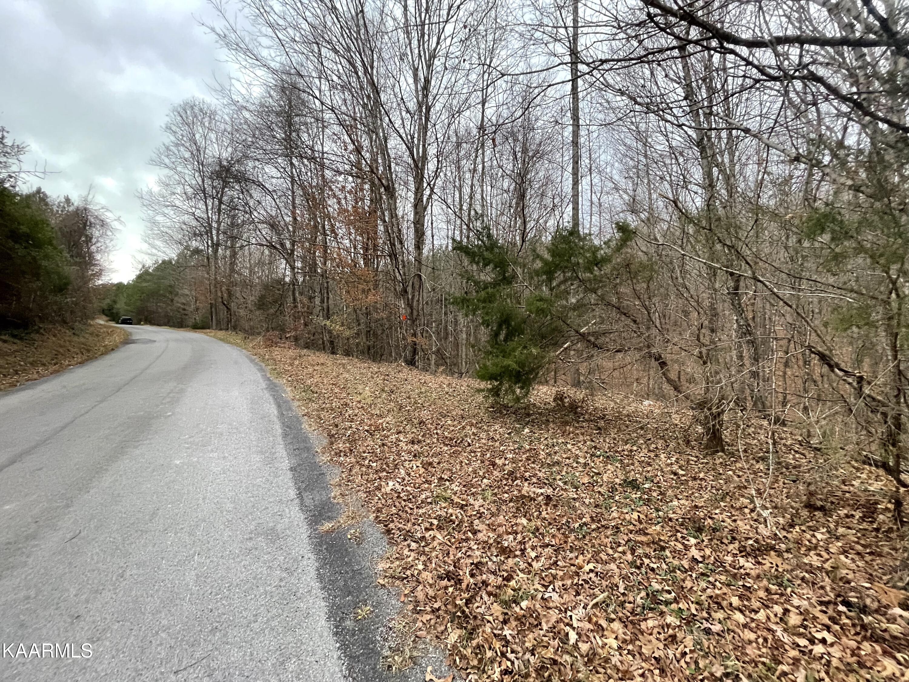 947 Rayl Hollow Road Decatur, TN 37322 - Photo 27 of 55 9F08AE73-FA9A-4AEA-83C5-11949B8068F1