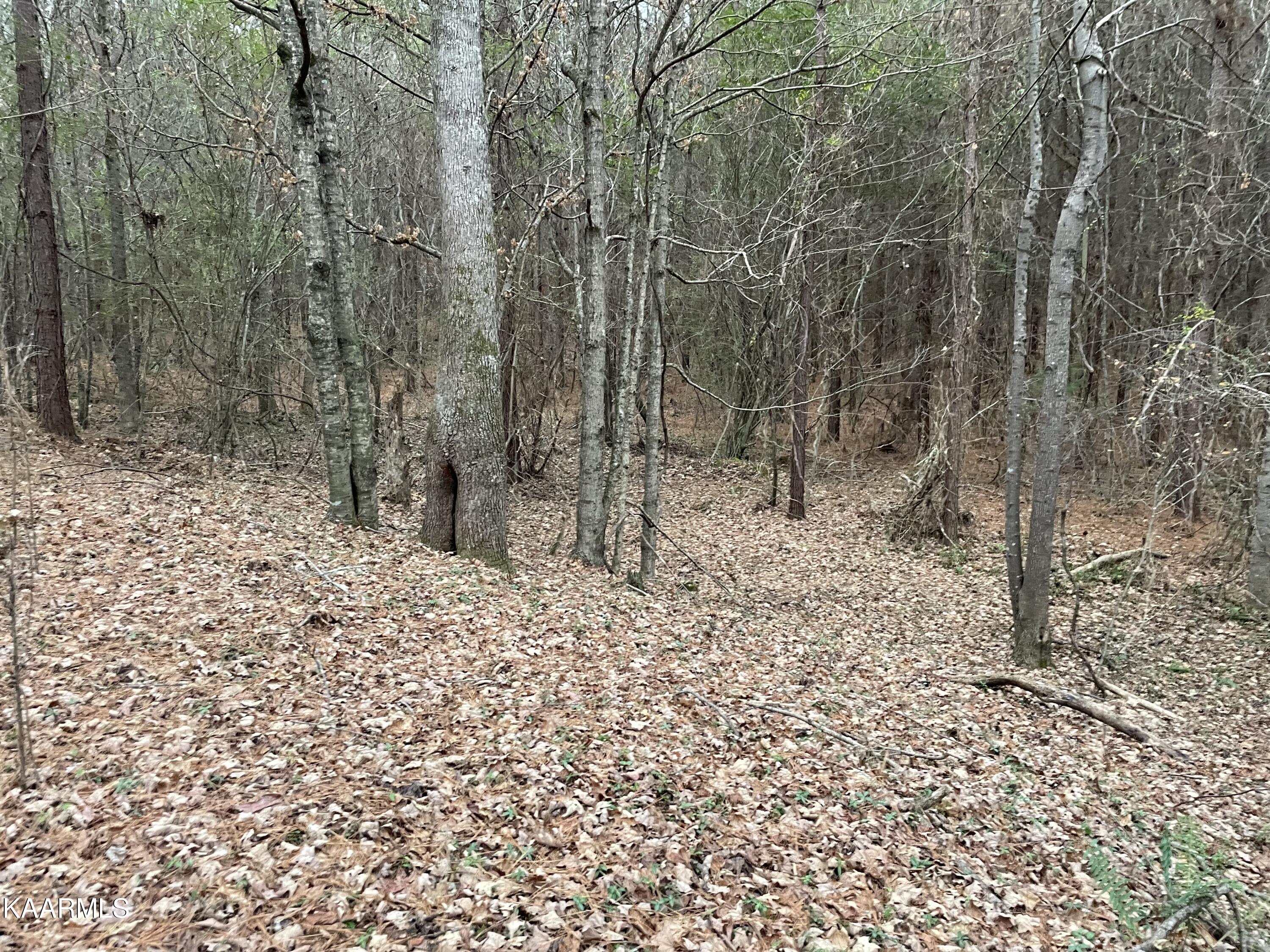 947 Rayl Hollow Road Decatur, TN 37322 - Photo 28 of 55 06644692-ED2D-4402-ABAE-9AB46CE4E089