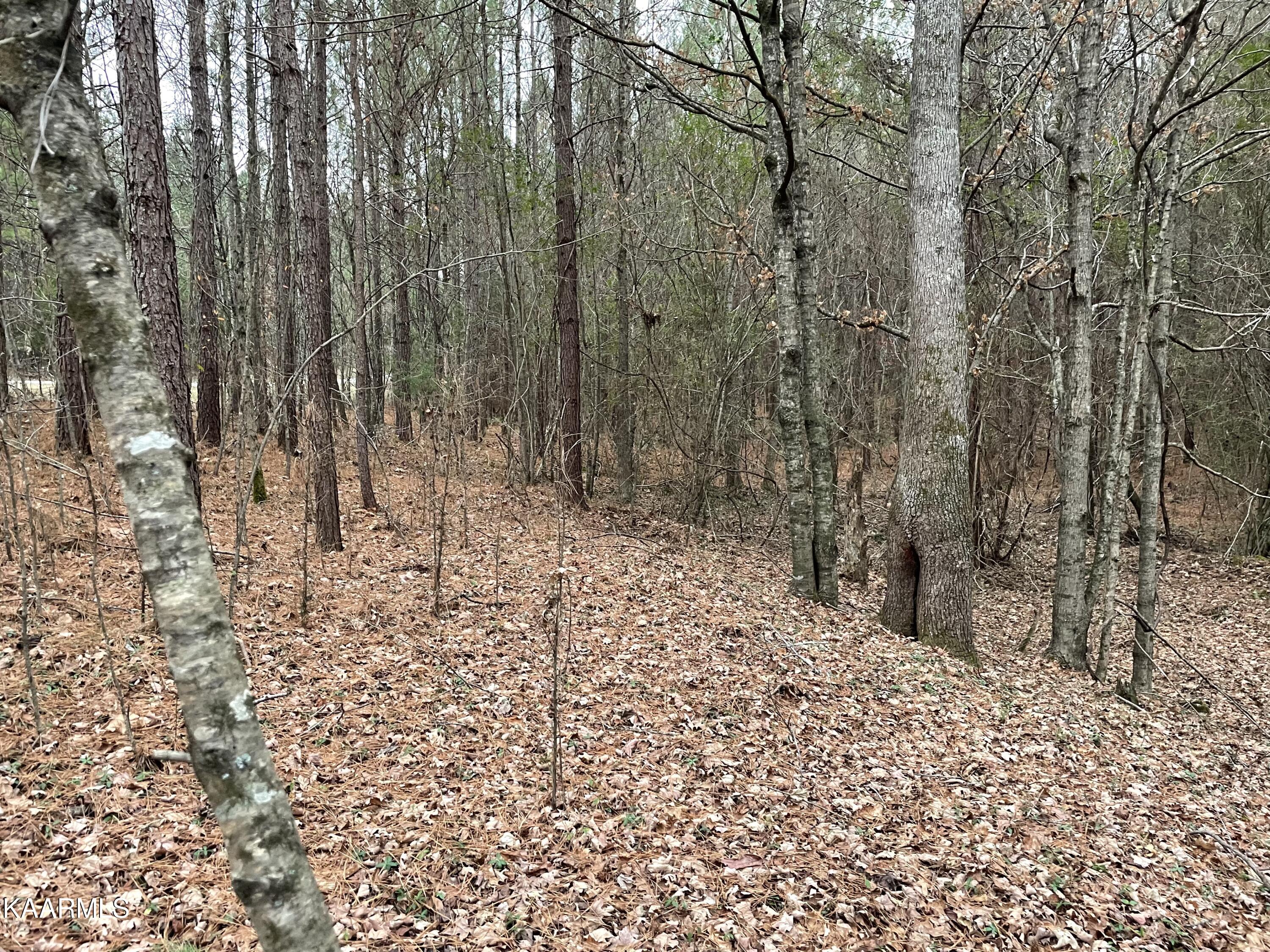 947 Rayl Hollow Road Decatur, TN 37322 - Photo 29 of 55 27C81D56-A071-40CA-8A7E-64D8C07F375A
