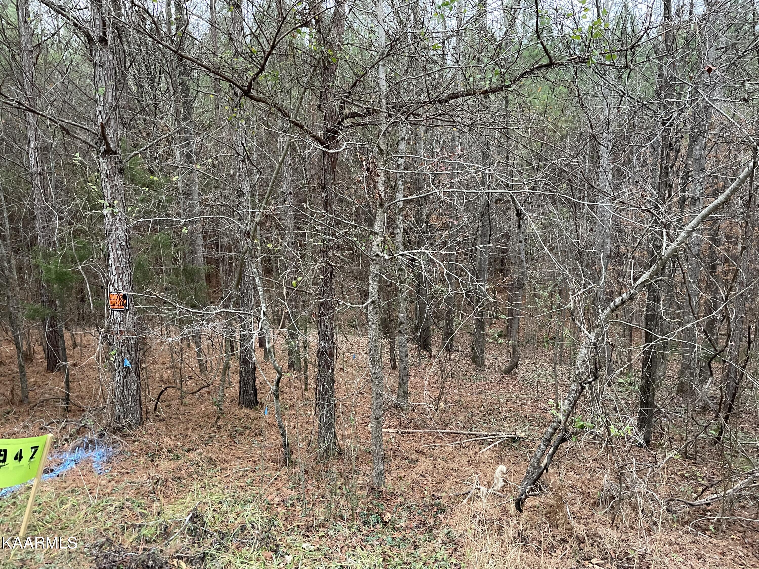 947 Rayl Hollow Road Decatur, TN 37322 - Photo 3 of 55 10475B91-F4E9-4D98-9B29-094C4E9D1BB6