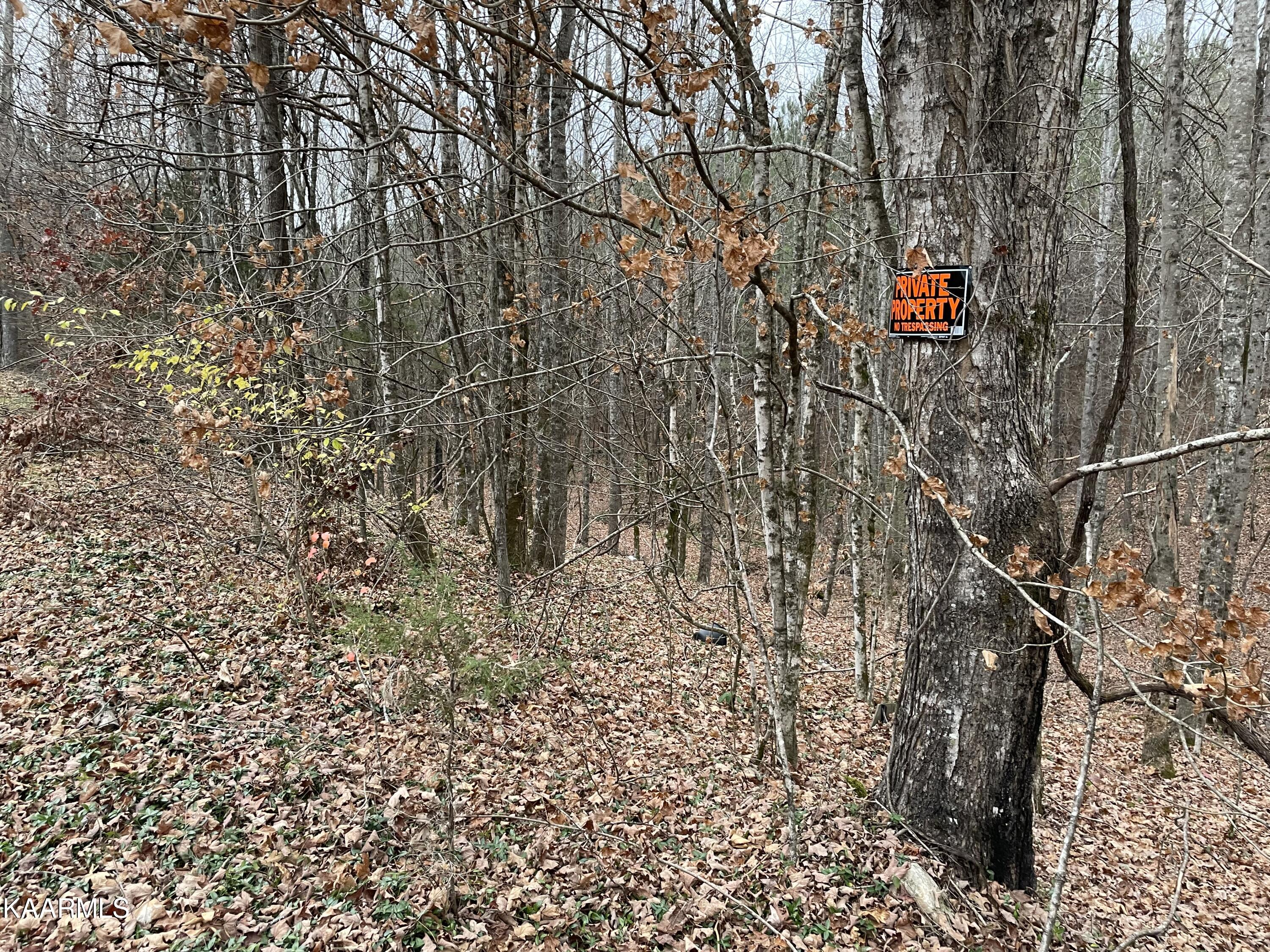 947 Rayl Hollow Road Decatur, TN 37322 - Photo 33 of 55 73B76569-BDF0-4DA3-A6B4-FC5C38388E66