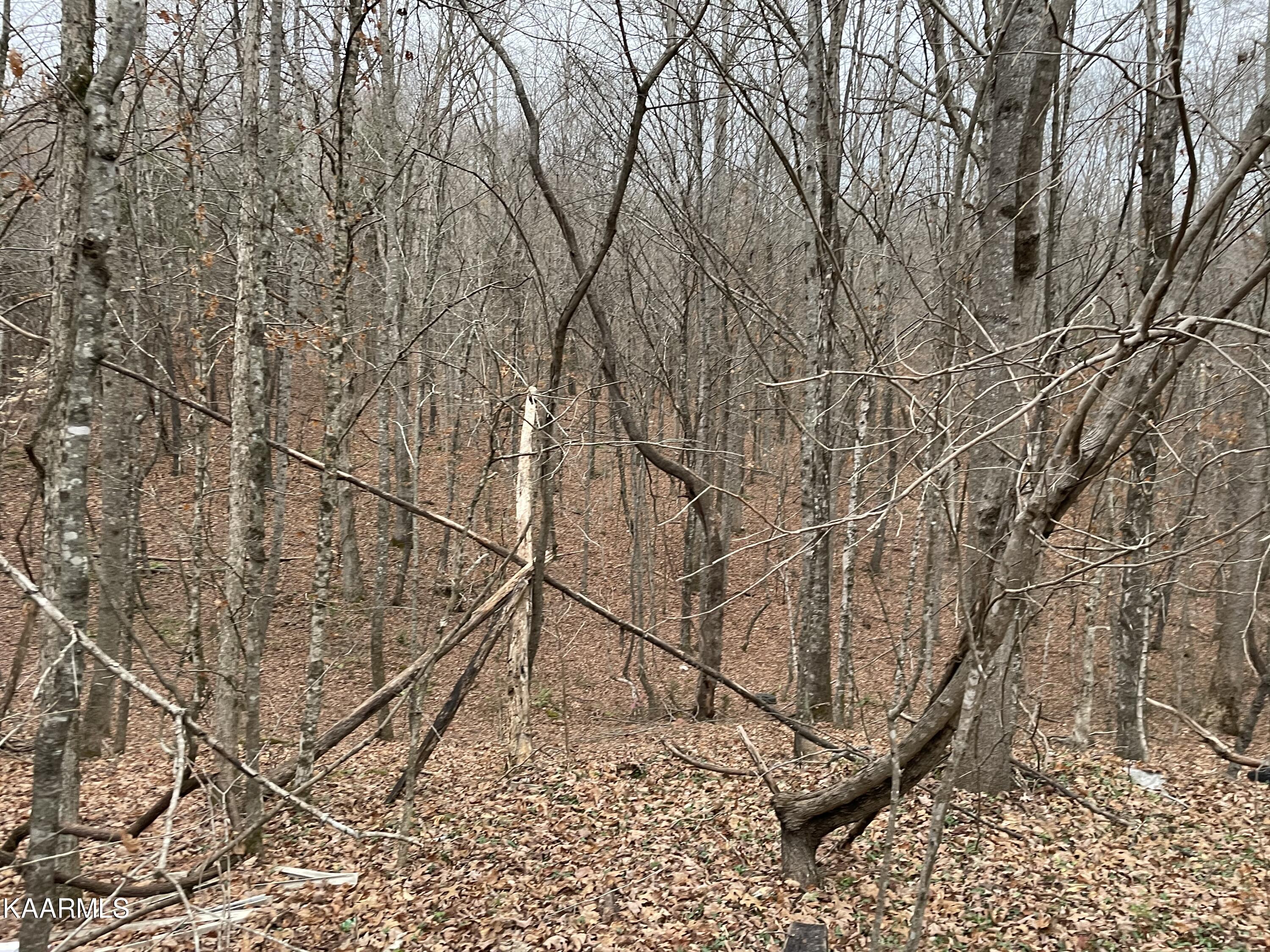 947 Rayl Hollow Road Decatur, TN 37322 - Photo 34 of 55 8B7B9709-4E0A-41EA-8082-96B535B2095D