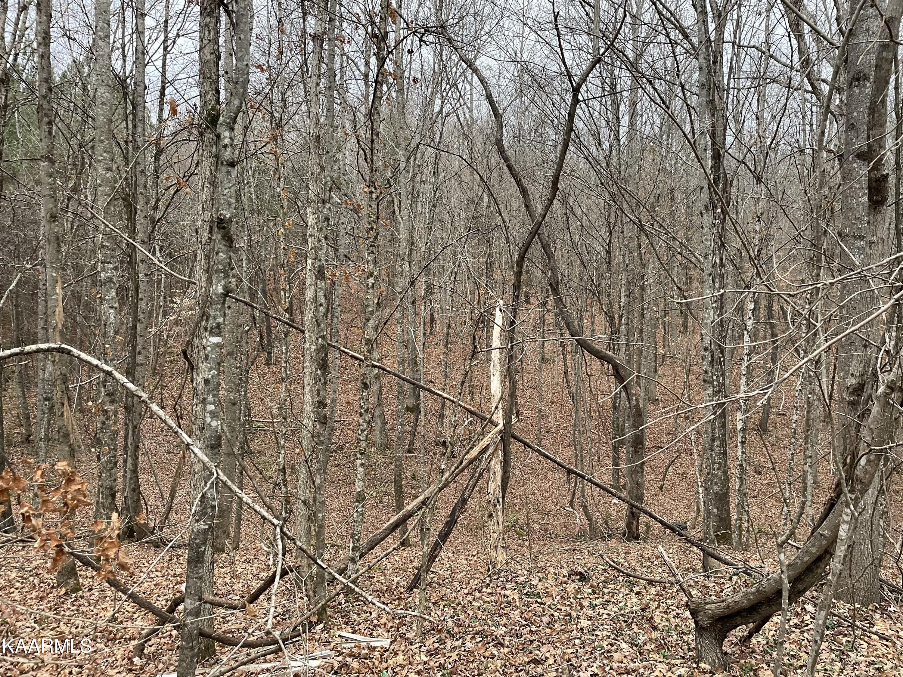 947 Rayl Hollow Road Decatur, TN 37322 - Photo 35 of 55 15CD583C-67AE-4982-8FCE-B6512CF20C2B