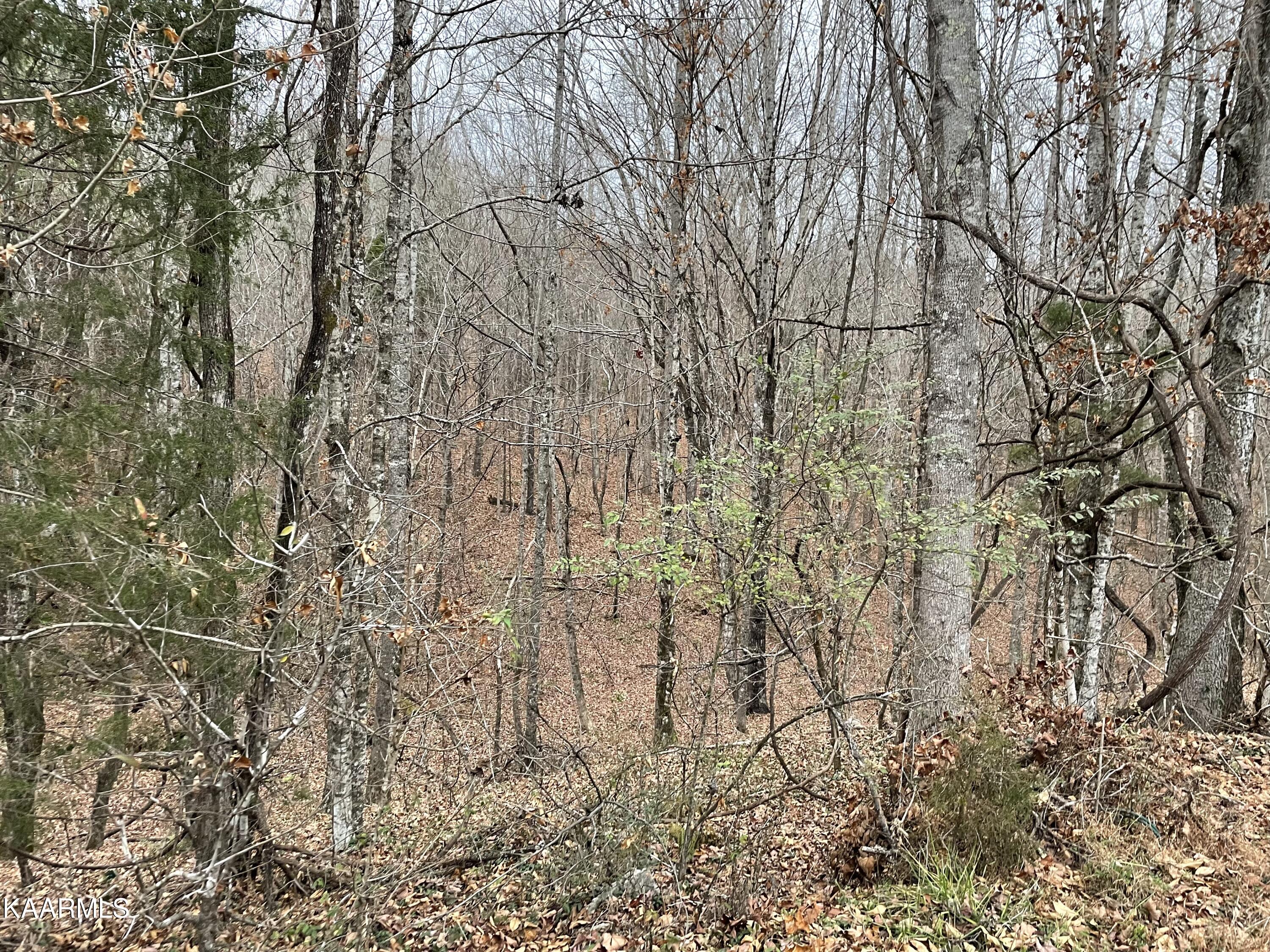 947 Rayl Hollow Road Decatur, TN 37322 - Photo 37 of 55 8D198F4B-AA54-438E-9FF7-73E0A9CDCF0F