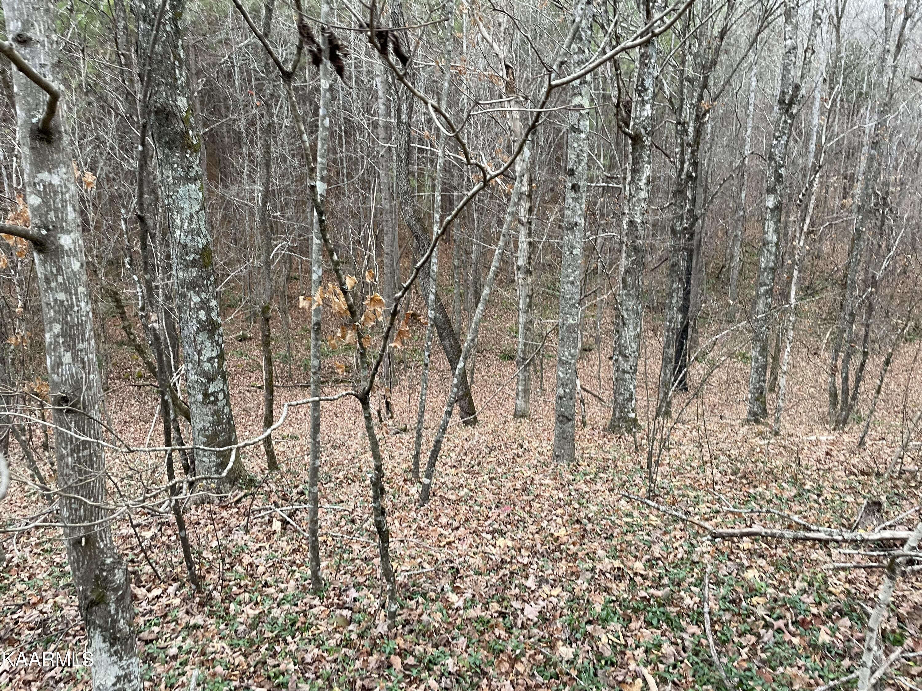 947 Rayl Hollow Road Decatur, TN 37322 - Photo 42 of 55 660A229E-2806-4BC5-A6CB-CF51A547E295