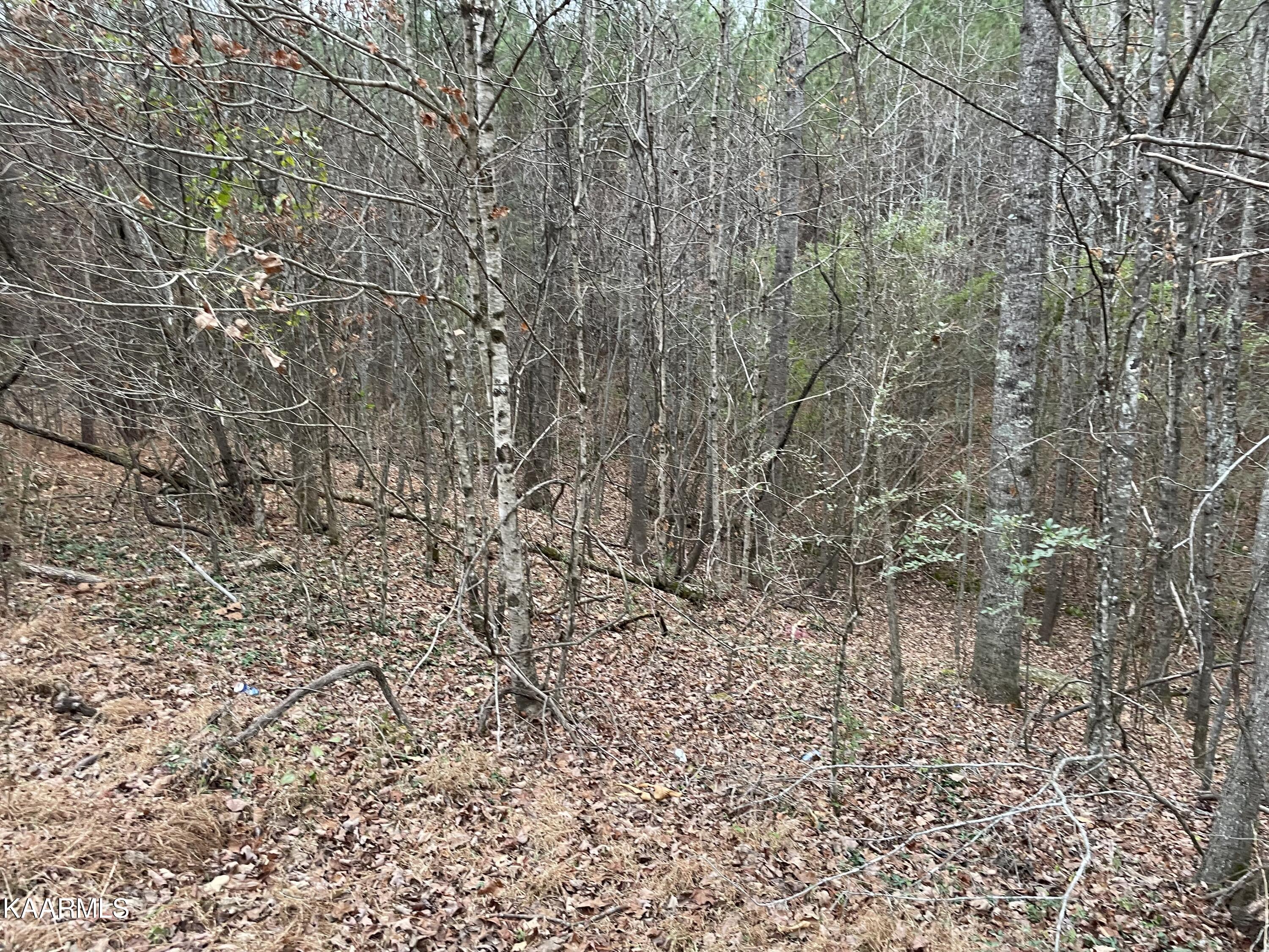 947 Rayl Hollow Road Decatur, TN 37322 - Photo 43 of 55 765DDFAA-66ED-4559-B054-564E3C503188