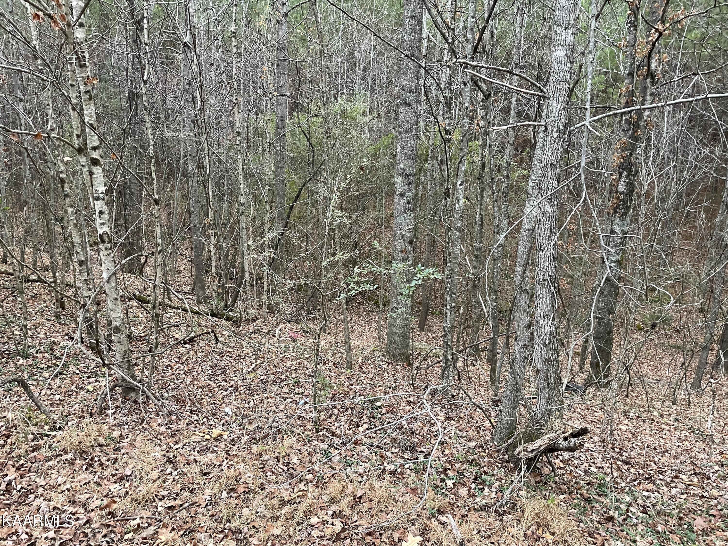 947 Rayl Hollow Road Decatur, TN 37322 - Photo 44 of 55 C4D6CF24-BDAC-4F4A-A186-E1E2960506B2