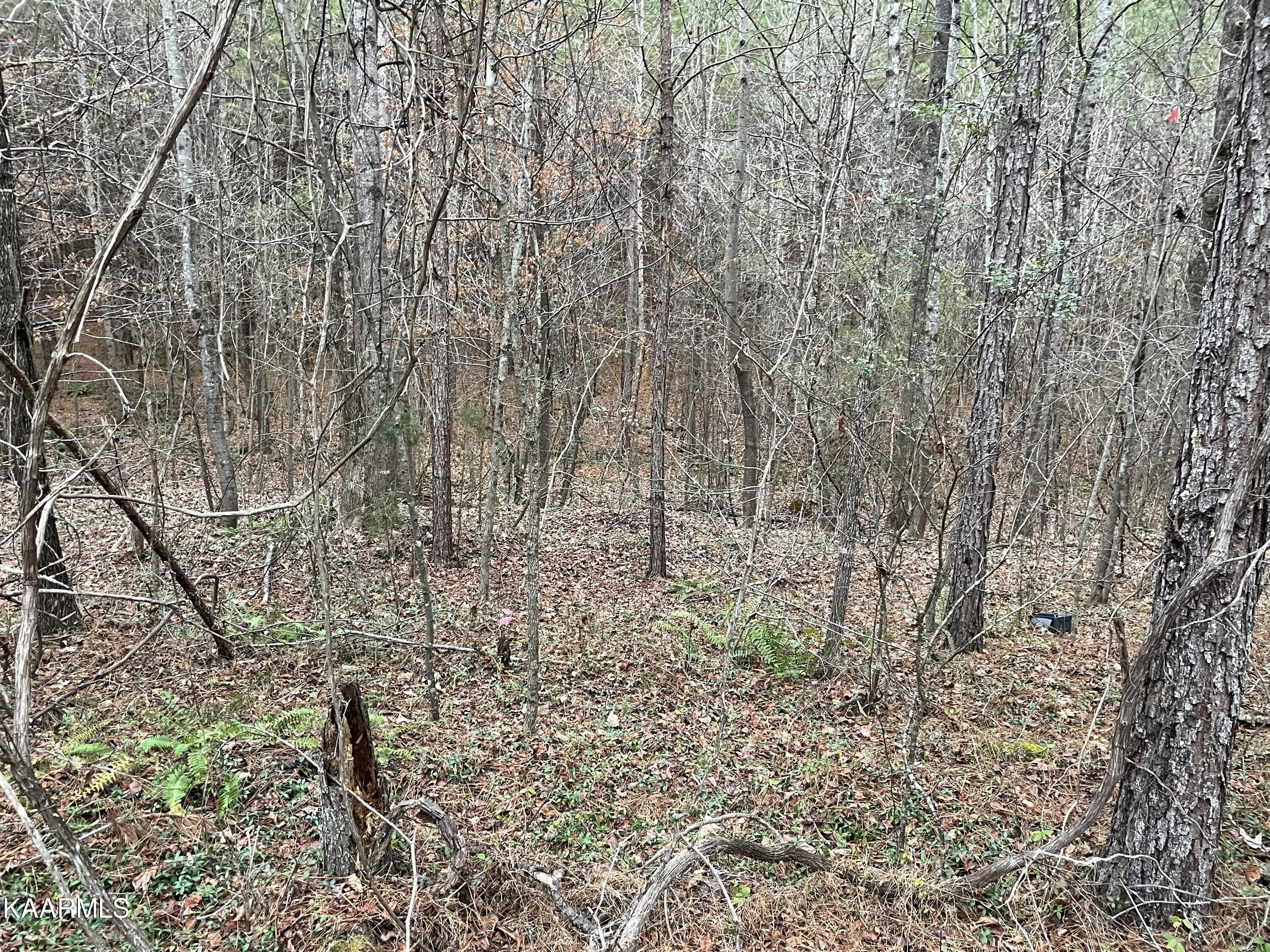 947 Rayl Hollow Road Decatur, TN 37322 - Photo 47 of 55 EA7184E1-5E01-4839-B0DE-E074ED69CC04