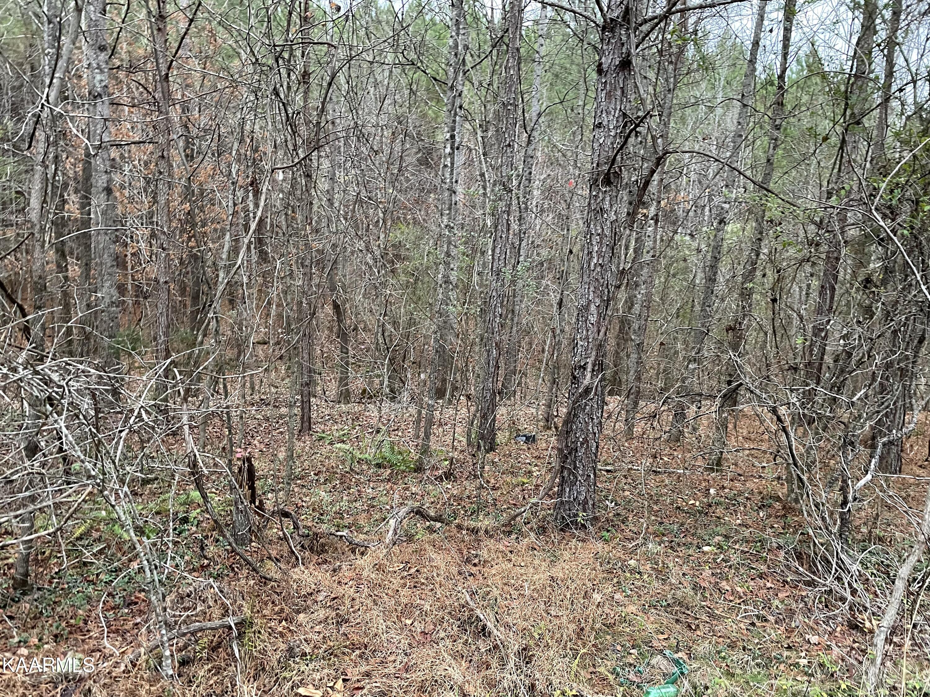 947 Rayl Hollow Road Decatur, TN 37322 - Photo 48 of 55 FF44DA6B-AF8C-42ED-9E8F-45D13A14CCF6