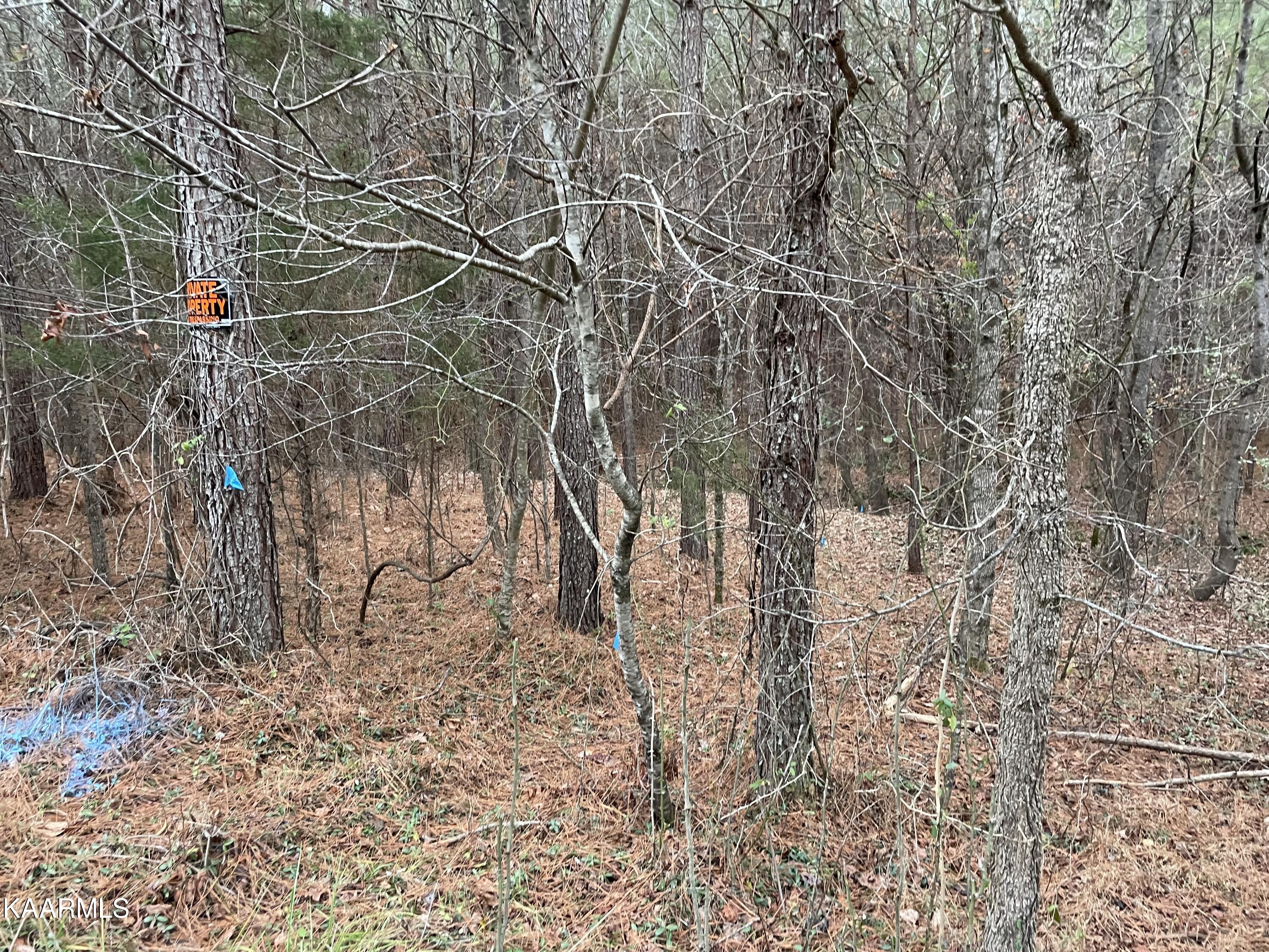 947 Rayl Hollow Road Decatur, TN 37322 - Photo 49 of 55 755D726C-17D3-4ECB-BCCA-AED7B67842E3