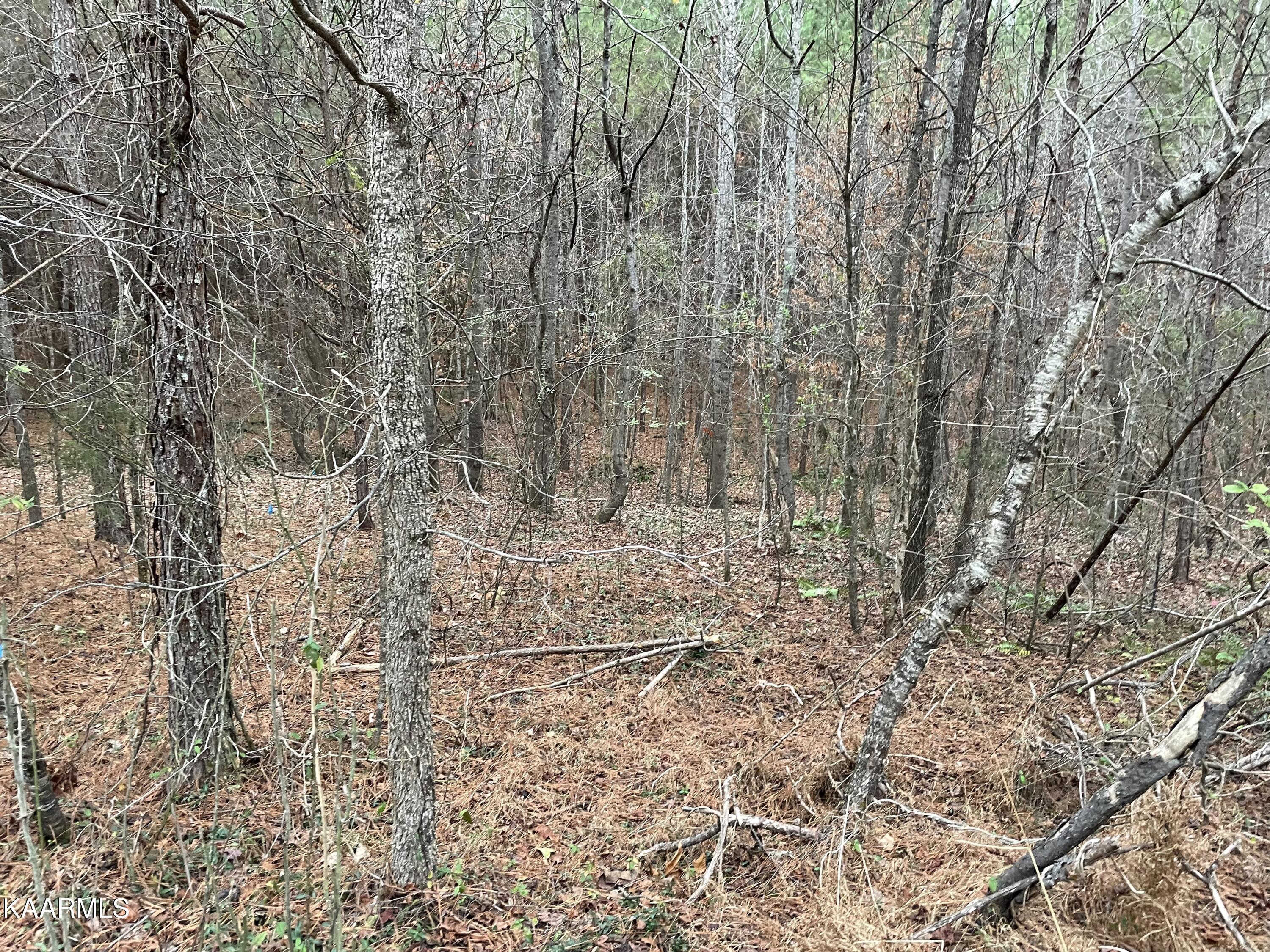 947 Rayl Hollow Road Decatur, TN 37322 - Photo 51 of 55 8D405AA1-36D6-4DAC-AC45-720D057D2C4A