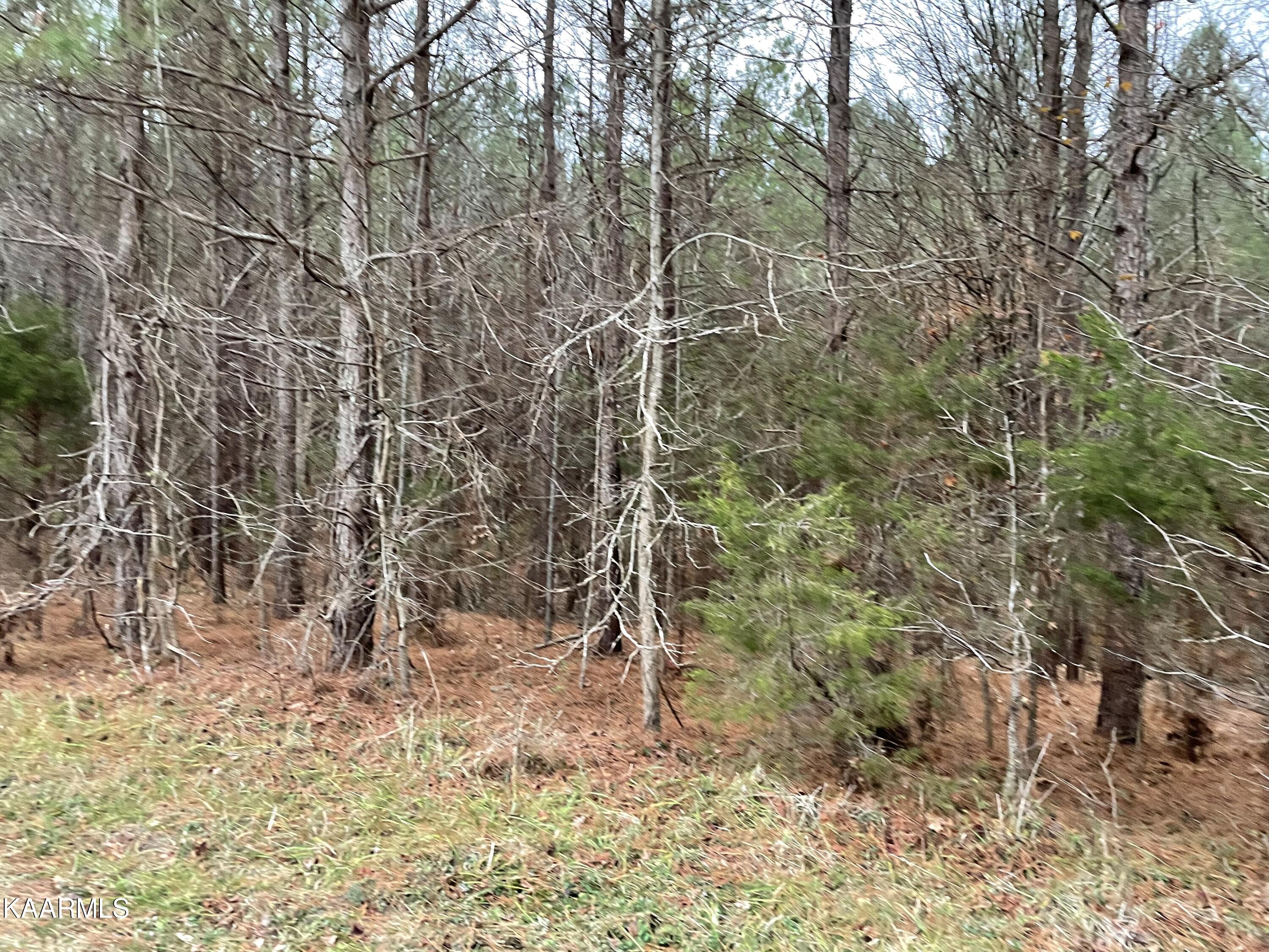 947 Rayl Hollow Road Decatur, TN 37322 - Photo 52 of 55 578F0532-EE4D-4615-B4D6-14A3DB719870