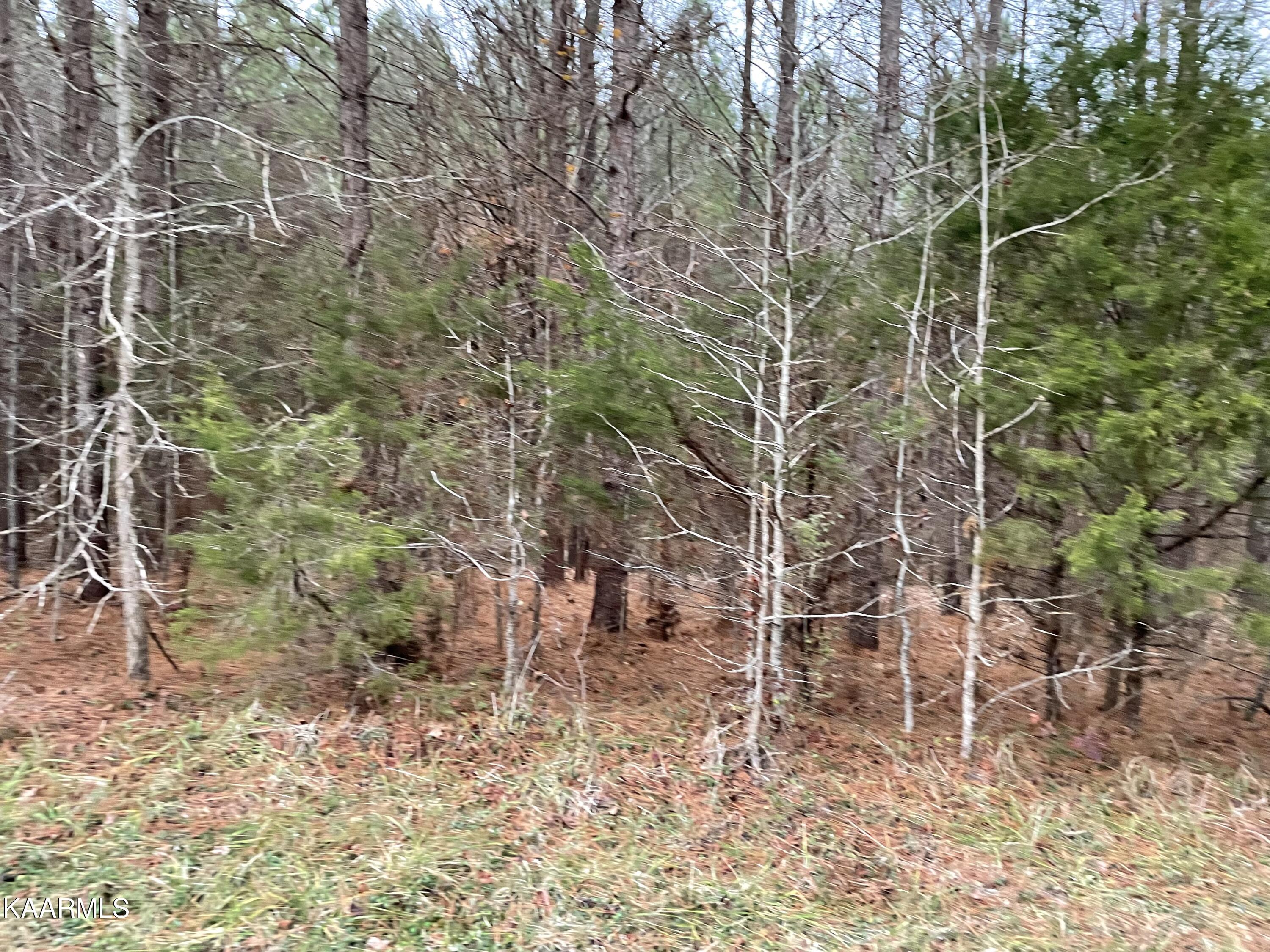 947 Rayl Hollow Road Decatur, TN 37322 - Photo 53 of 55 4EDCC4B6-15A5-48CE-92A9-C98B6627DED3