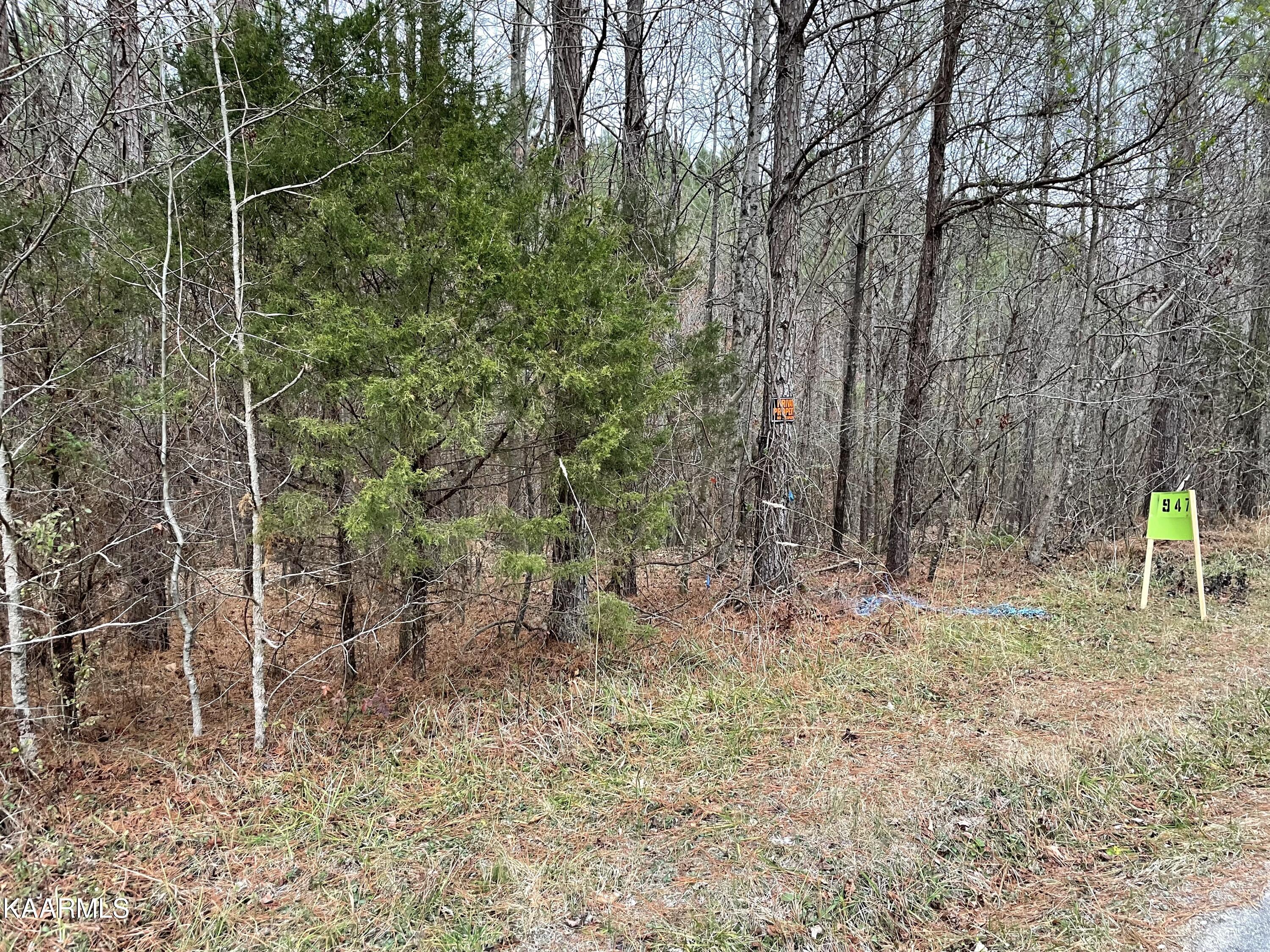 947 Rayl Hollow Road Decatur, TN 37322 - Photo 54 of 55 1C31FE0C-256E-410F-BCB4-A8BED8212F4F