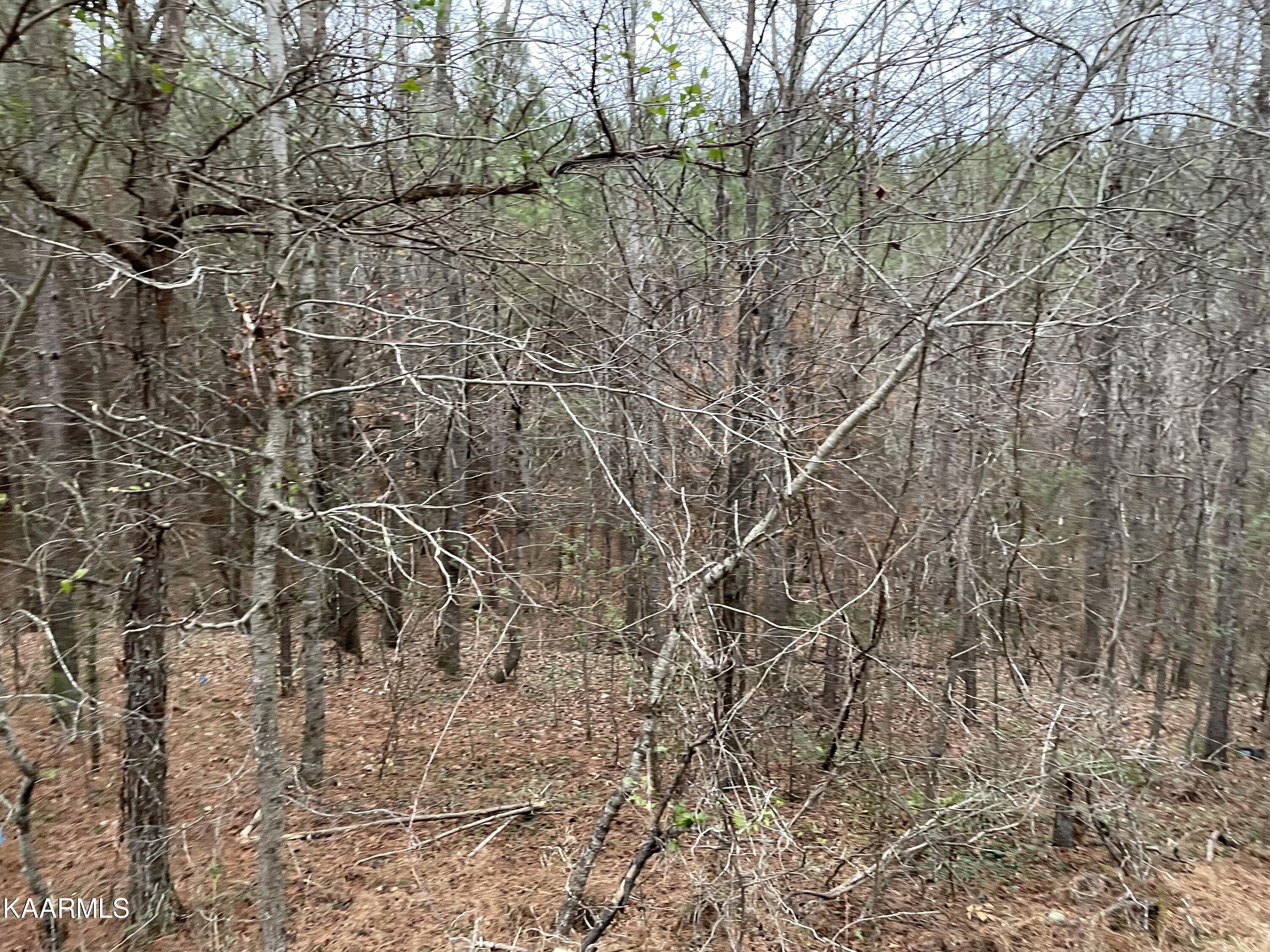 947 Rayl Hollow Road Decatur, TN 37322 - Photo 6 of 55 91076939-2BEE-4D35-AFE4-6FE187337DD0
