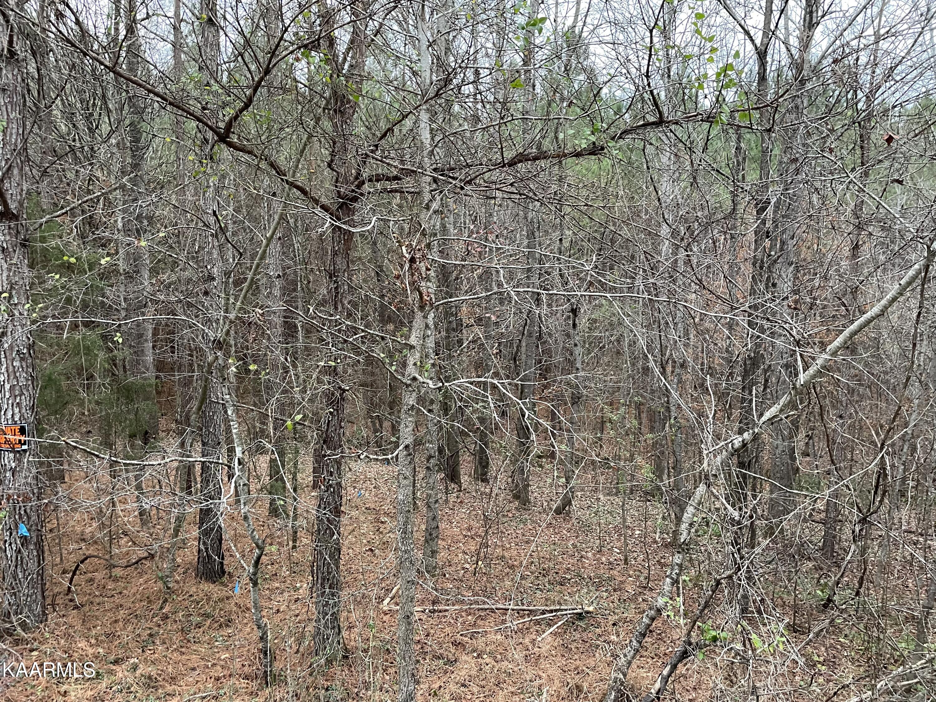 947 Rayl Hollow Road Decatur, TN 37322 - Photo 7 of 55 E7B08CDF-30C8-4057-893B-6009BBC05371