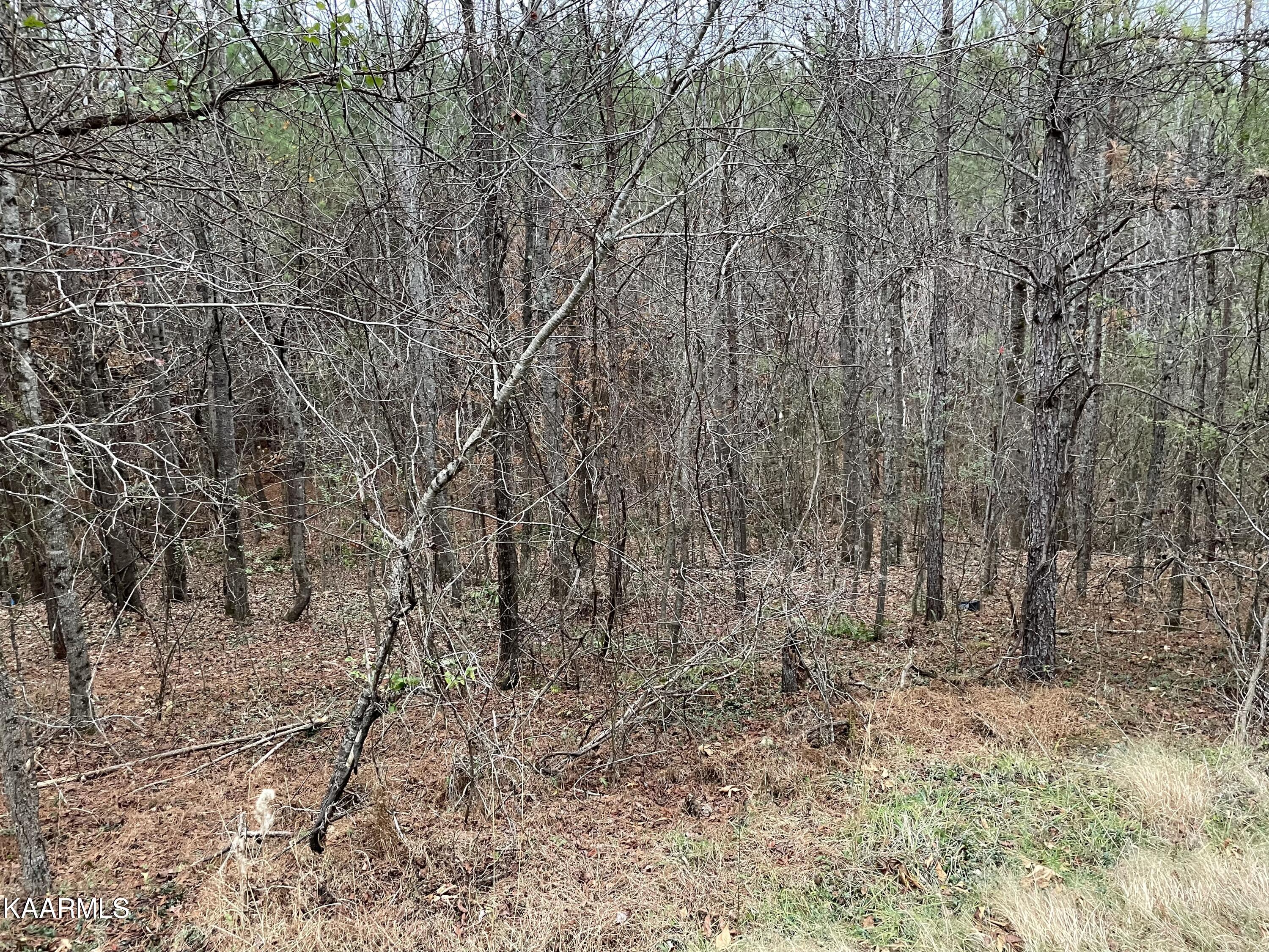 947 Rayl Hollow Road Decatur, TN 37322 - Photo 8 of 55 FE87861E-0A87-49C2-AD30-037ACA70D1B5