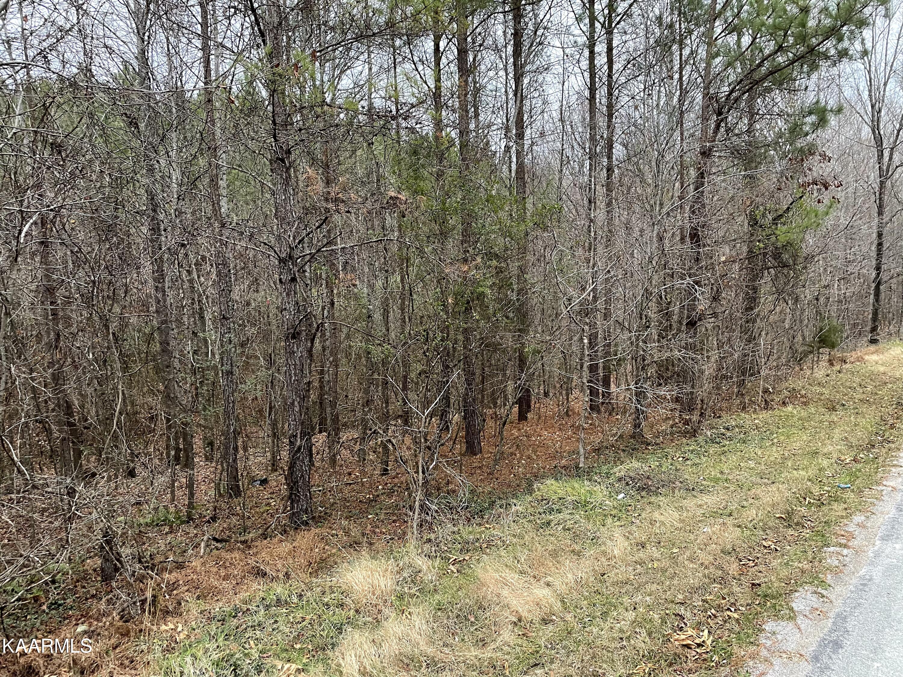 947 Rayl Hollow Road Decatur, TN 37322 - Photo 9 of 55 D6C3E575-30AA-4131-A51B-68E308161244