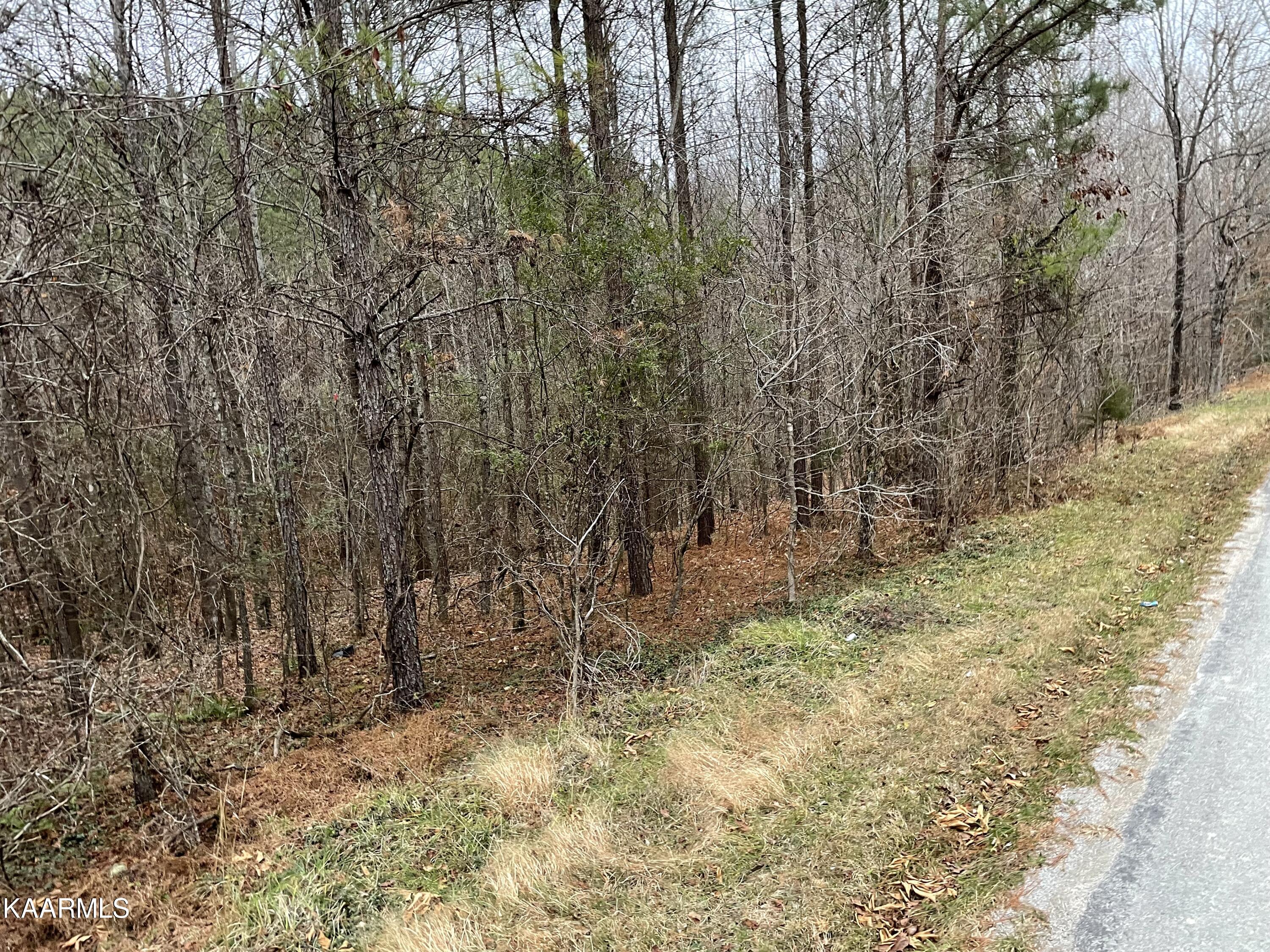 947 Rayl Hollow Road Decatur, TN 37322 - Photo 10 of 55 7D2C695D-2B33-4716-97D6-39316EA73B12