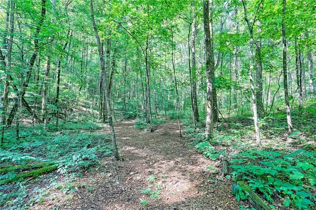 $1,699,000 | 876 Whitetail Trail, Clayton, GA 30525