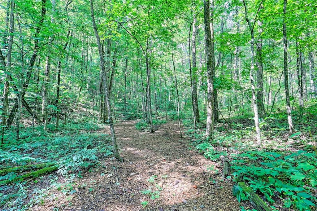 876 Whitetail Trail Clayton, GA 30525 - Photo 82 of 85