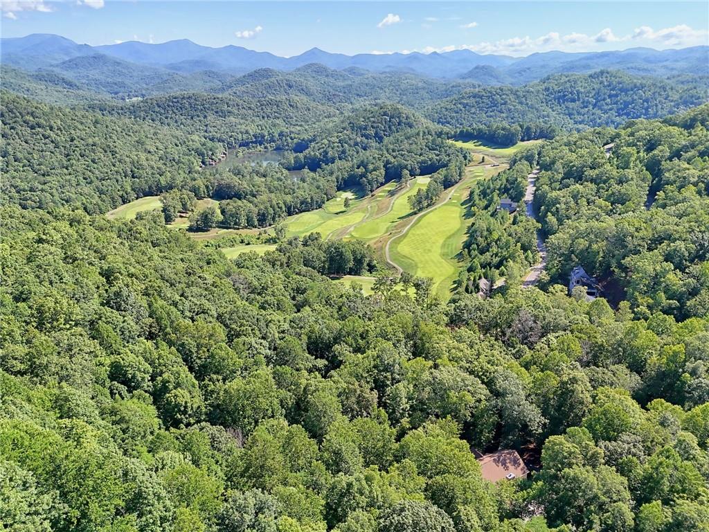 876 Whitetail Trail Clayton, GA 30525 - Photo 83 of 85 a view of a lush green hillside and a mountain