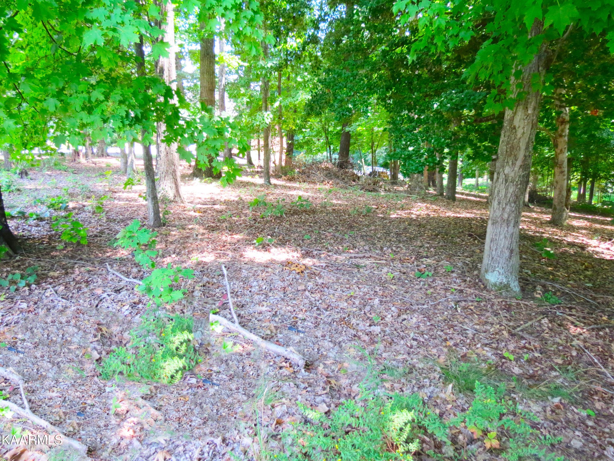 24 Devon Way Road White Pine, TN 37890 - Photo 6 of 17 Gallery Image 6