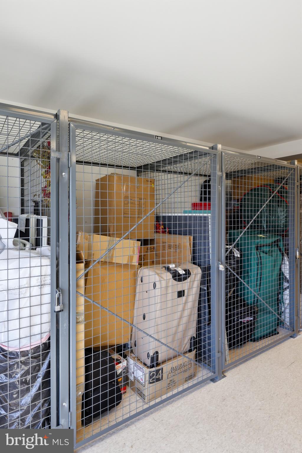 12240 Roundwood Road, Unit 605 Lutherville-Timonium, MD 21093 - Photo 23 of 38 Abundant storage inside the unit and on your floor