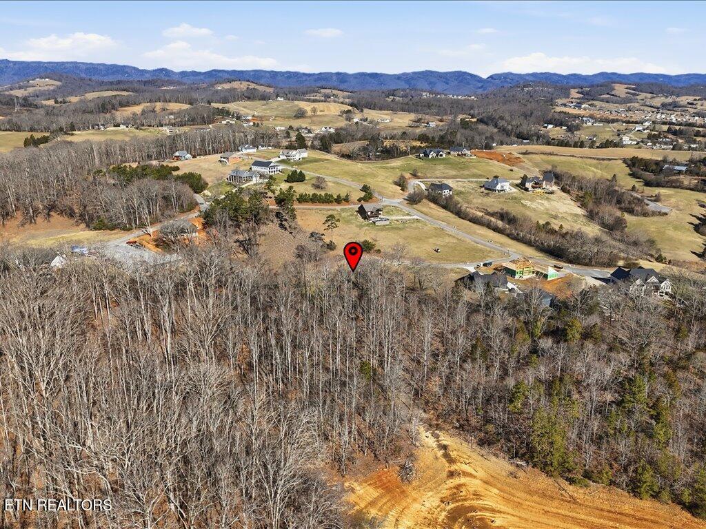 141 Red Cloud Lane Rutledge, TN 37861 - Photo 9 of 35 141 Red Cloud Ln - 9
