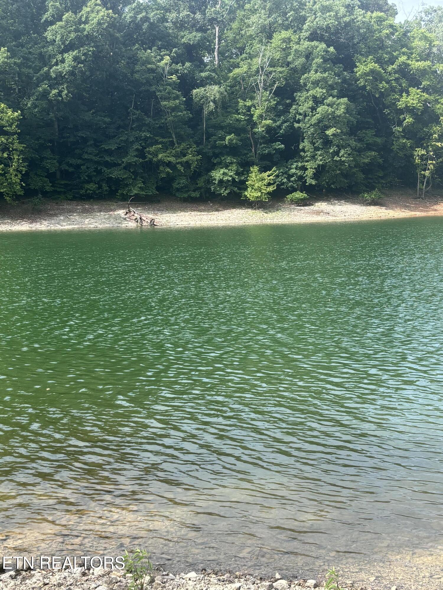 2327 Boat Dock Road Talbott, TN 37877 - Photo 7 of 13 IMG_0036