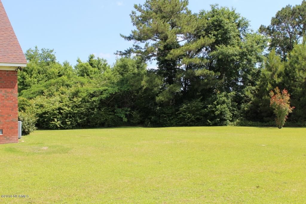 910 Temples Point Road Havelock, NC 28532 - Photo 61 of 63 Backyard