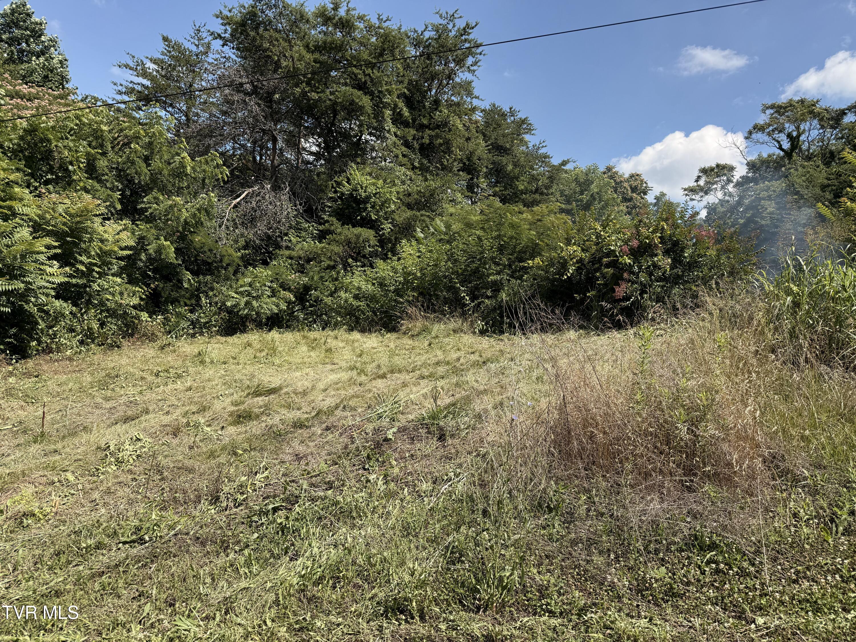 701 Old Witt Road, Unit 1 Morristown, TN 37813 - Photo 8 of 14 TL8