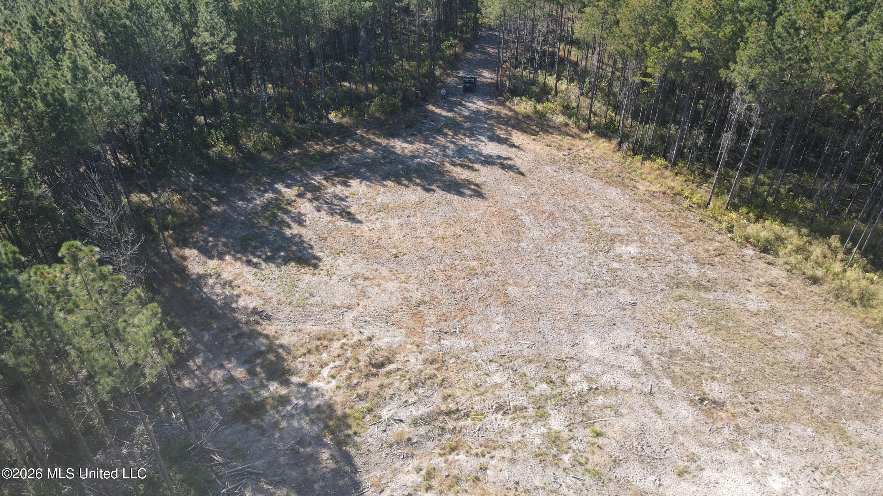 Loyd Irby Road Pelahatchie, MS 39145 - Photo 10 of 30 DJI_0230