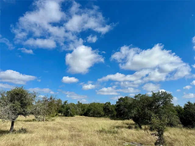 a view of a bunch of trees and sky