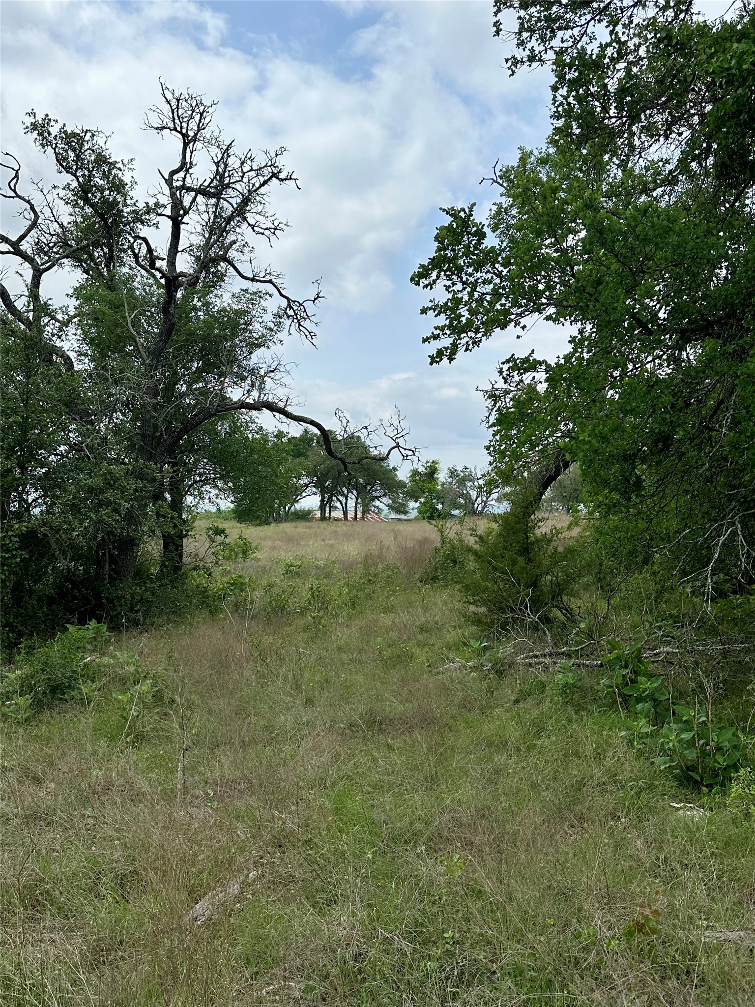 0 County Road 153 Georgetown, TX 78626 - Photo 8 of 12 View of nature