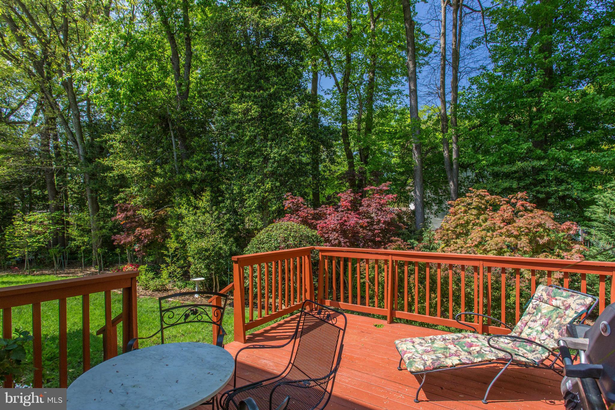 8230 Stacey Road Alexandria, VA 22308 - Photo 6 of 30 a view of a two chairs in the deck