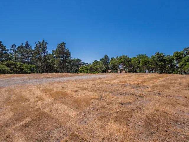 a view of outdoor space and trees