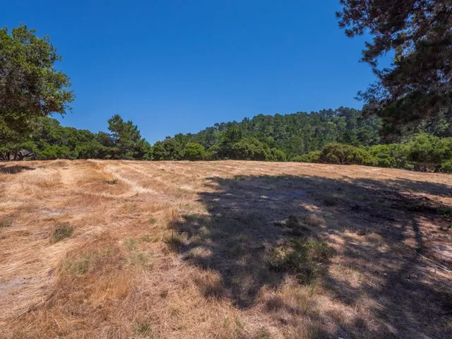 a view of outdoor space with trees