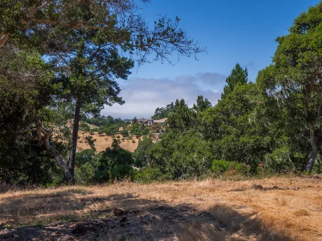 a view of a dry yard with trees in the background