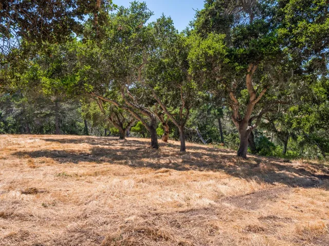 a view of a street with a houses