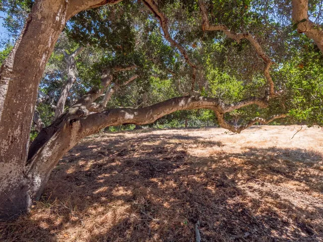 a view of a wooden house with a yard