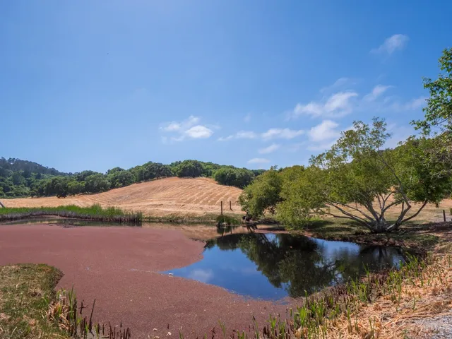 a living room with patio furniture and a chandelier